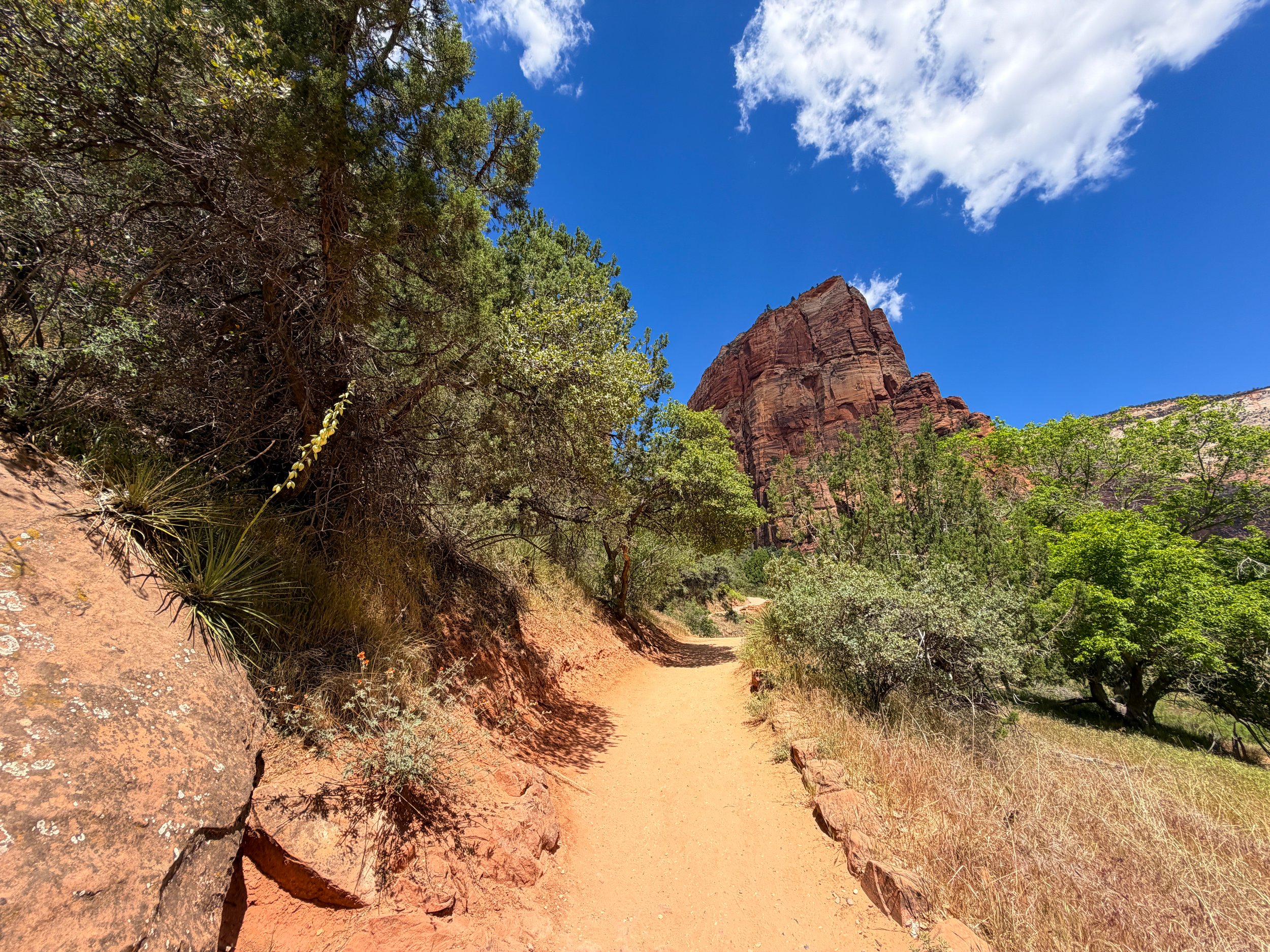 Angels Landing Hike Zion National Park Utah