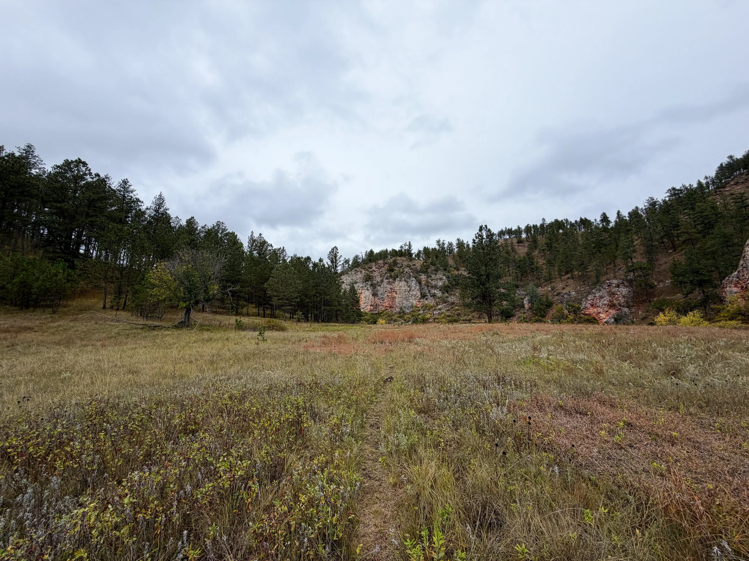 Highland Creek Trail Wind Cave National Park South Dakota