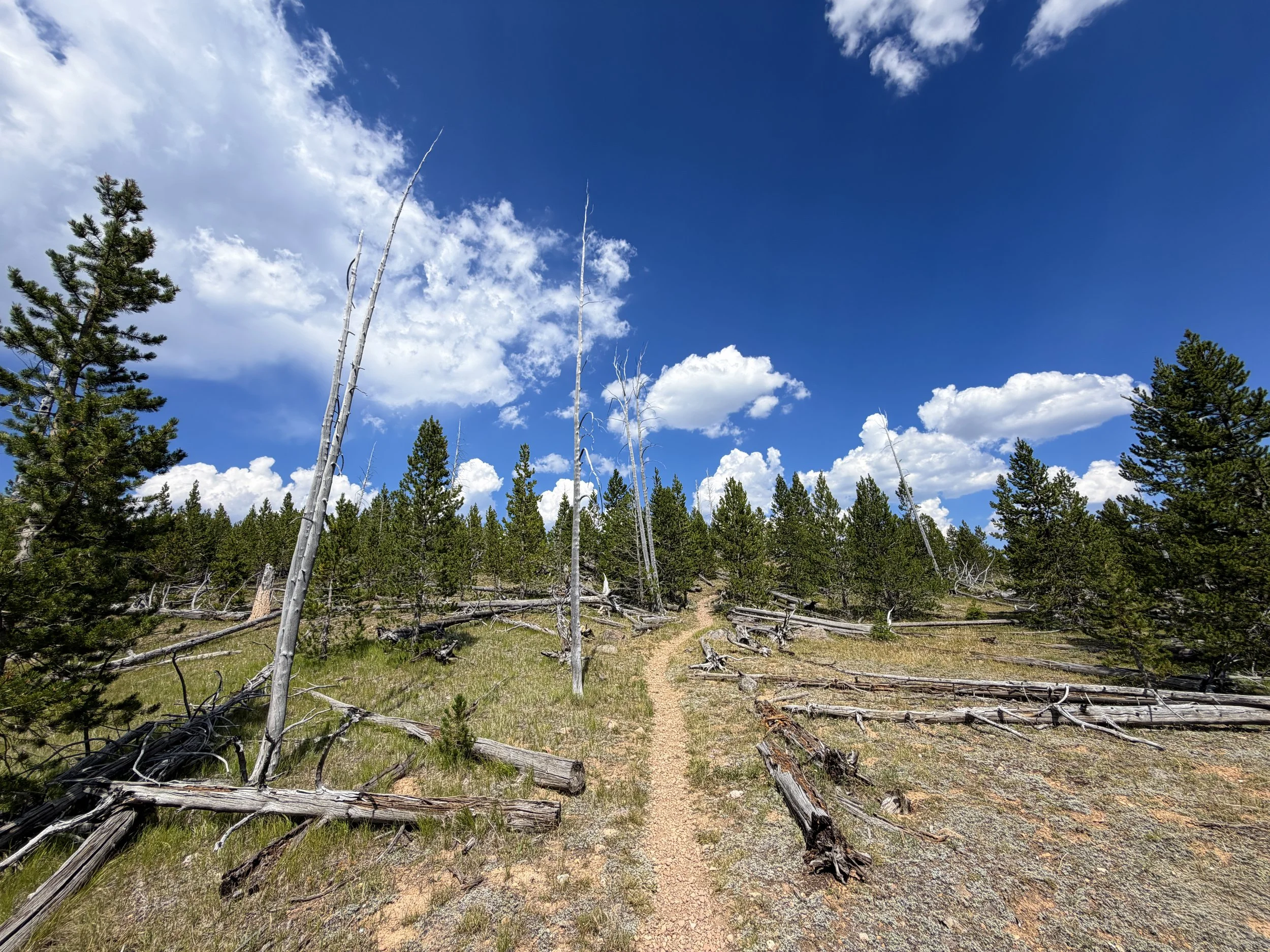 Bunsen Peak Trail to Osprey Falls Yellowstone National Park Wyoming