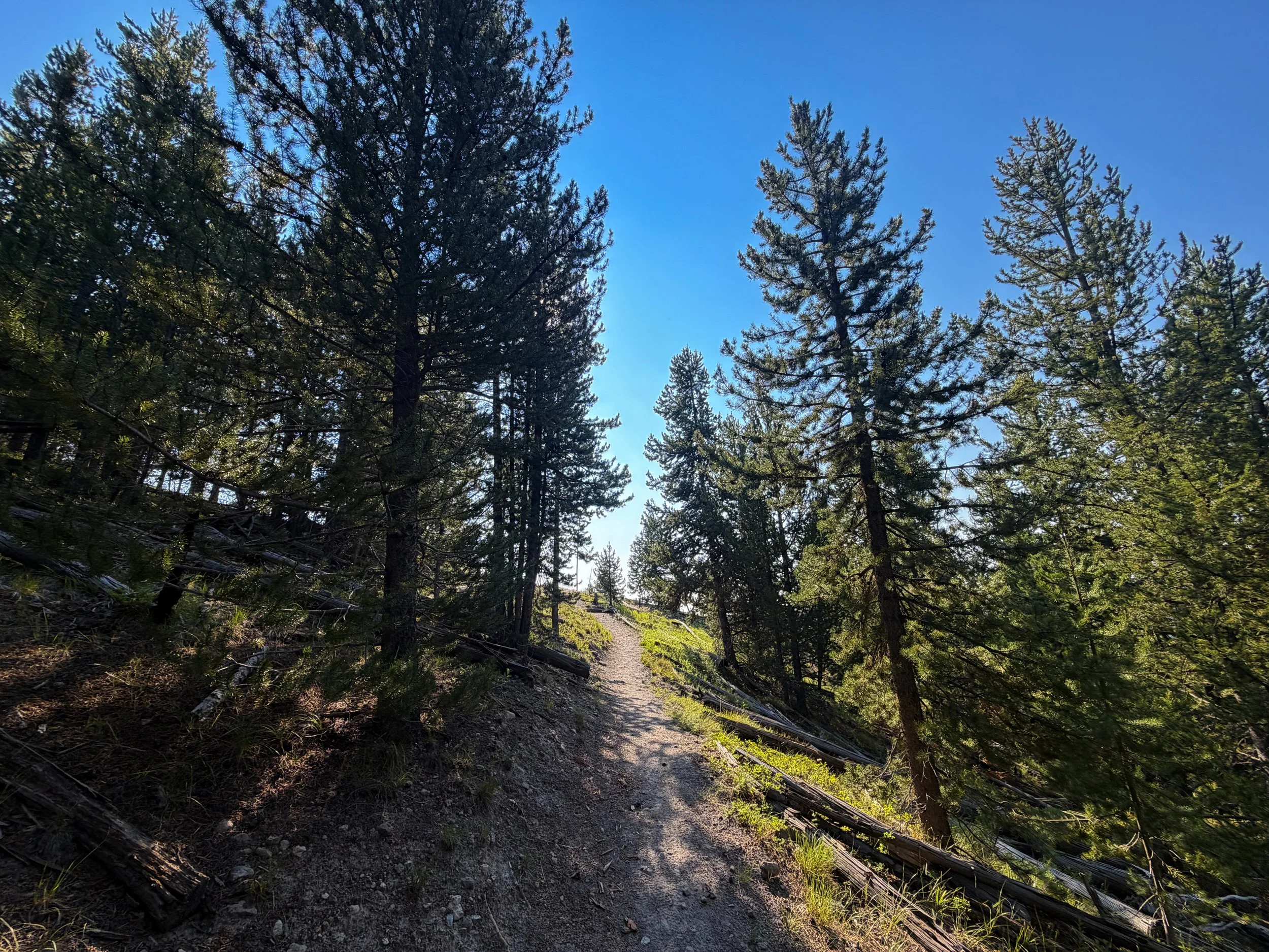 Mystic Falls Loop Trail Yellowstone National Park Wyoming