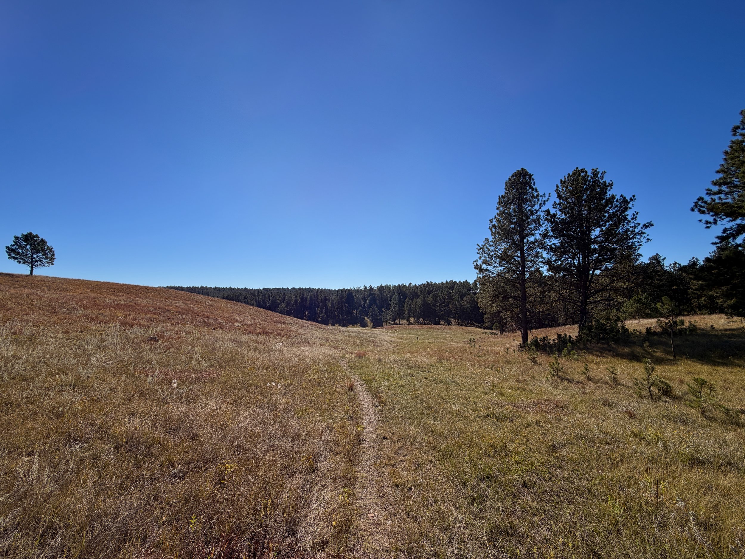 Sanctuary Trail Wind Cave National Park South Dakota