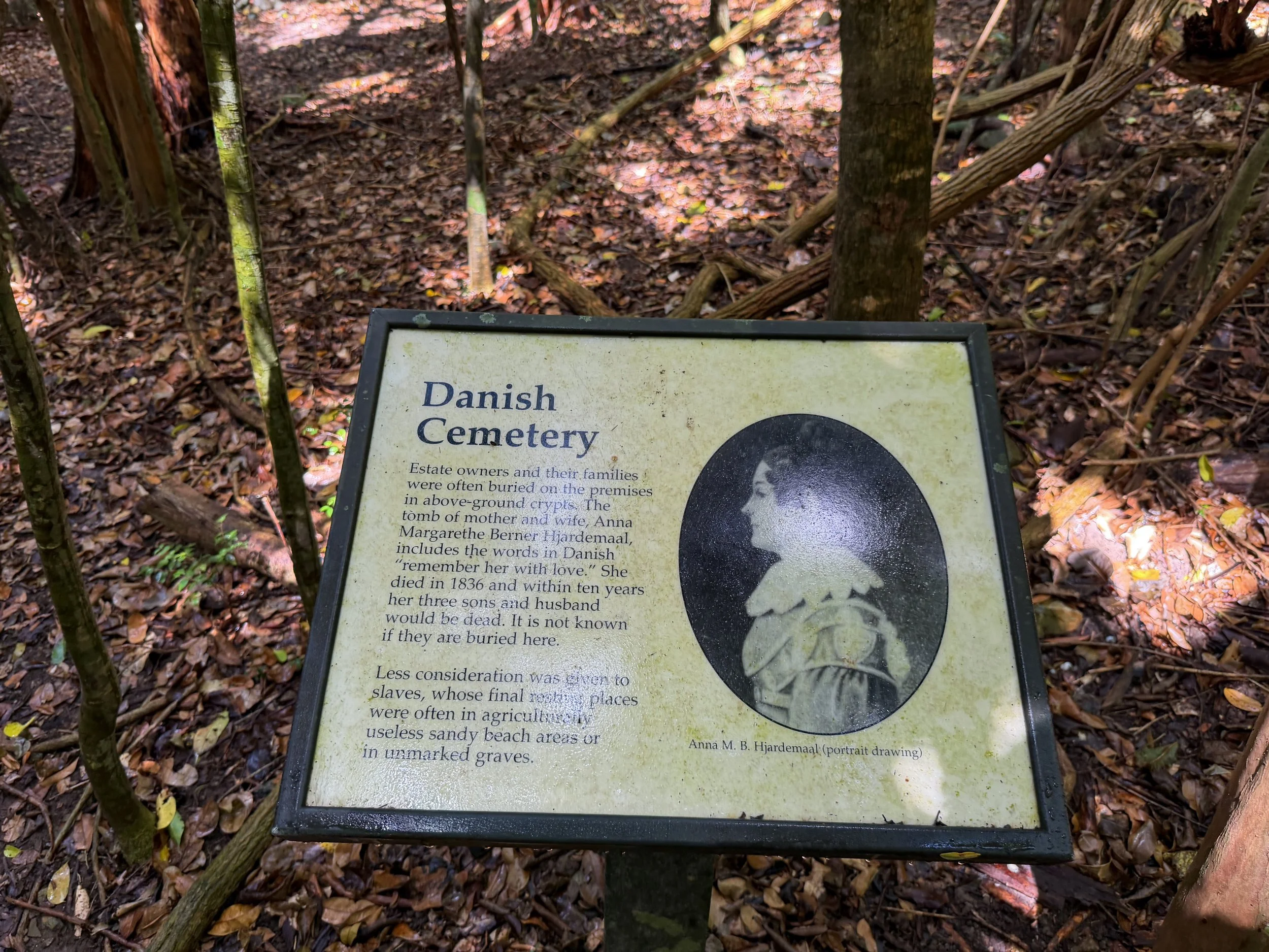 Graves Cinnamon Bay Loop Trail Virgin Islands National Park