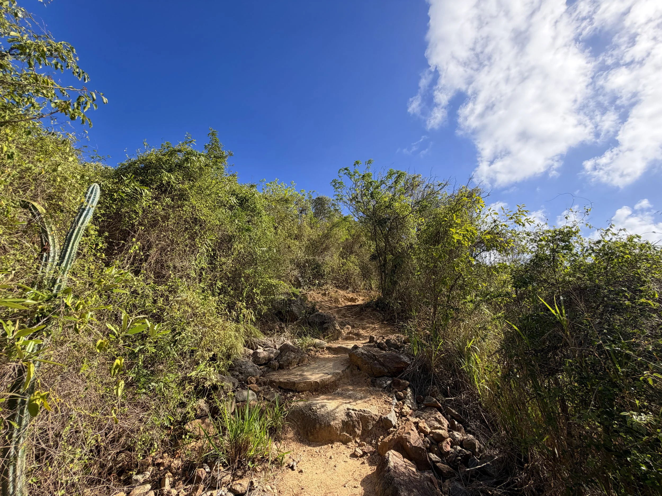 Ram Head Hike Virgin Islands National Park