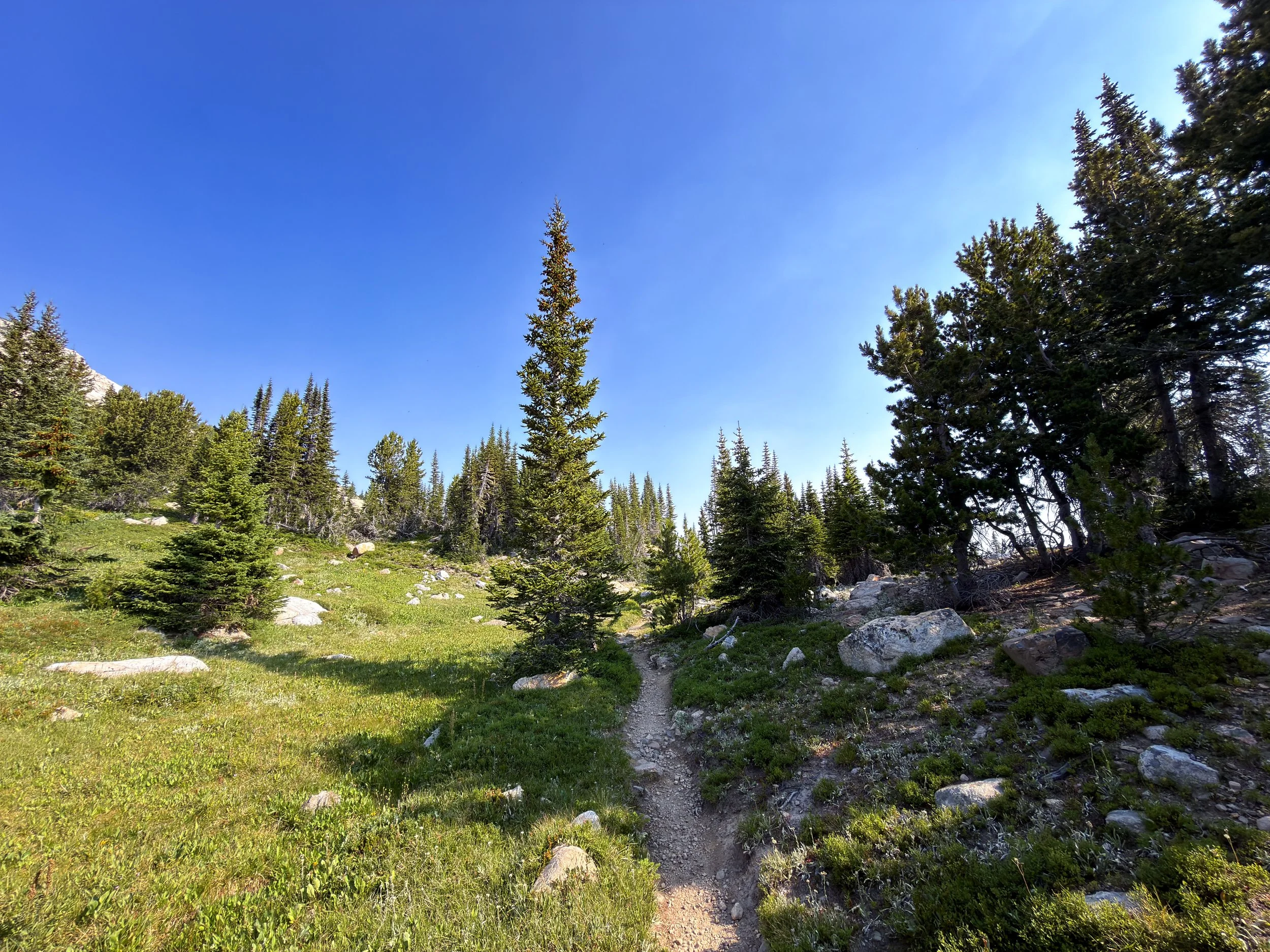 The Beaten Path Hike Beartooth Mountains Montana