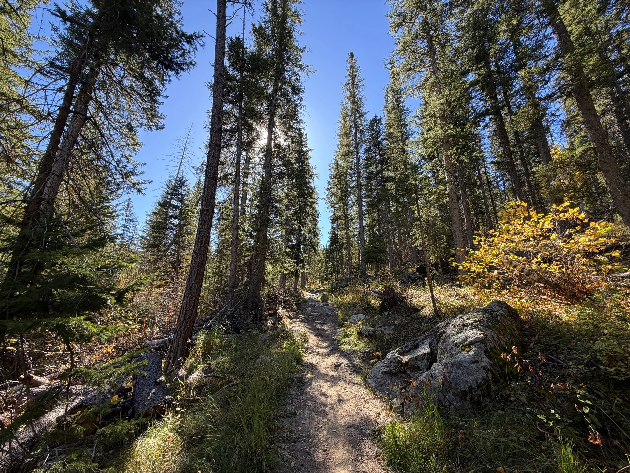 Sunday Gulch Trail Custer State Park Black Hills South Dakota
