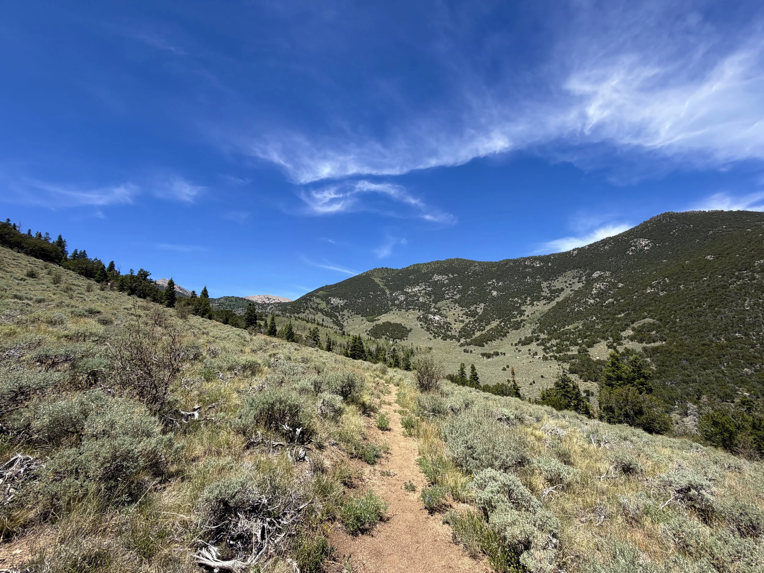 Serviceberry Loop Hike Great Basin National Park Nevada