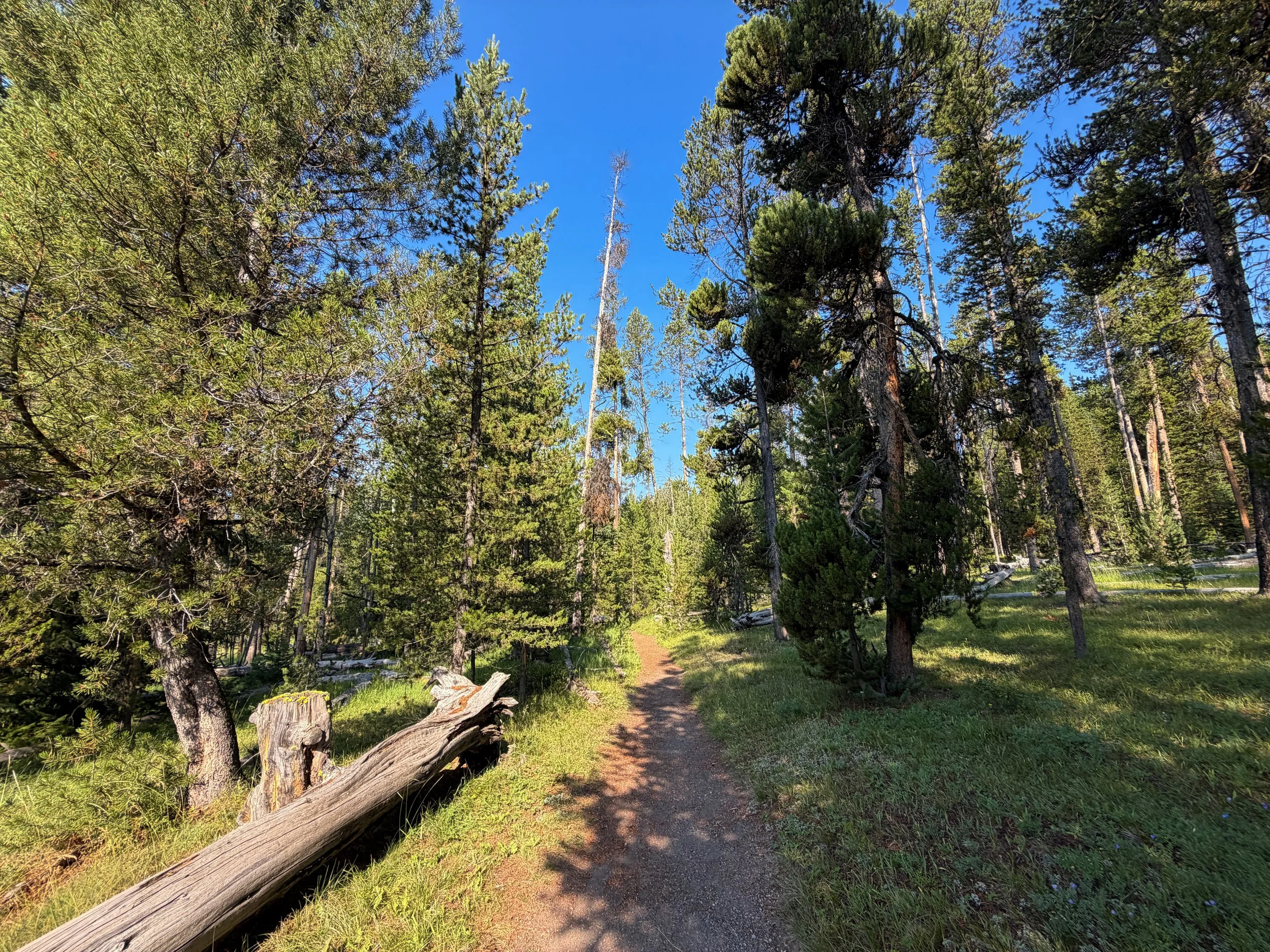 Natural Bridge Trail Yellowstone National Park Wyoming