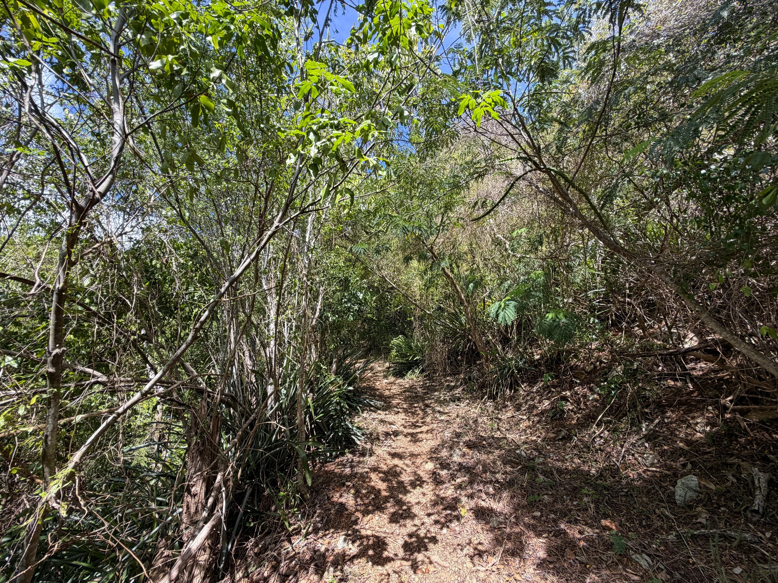 Lameshur Bay Hike Virgin Islands National Park