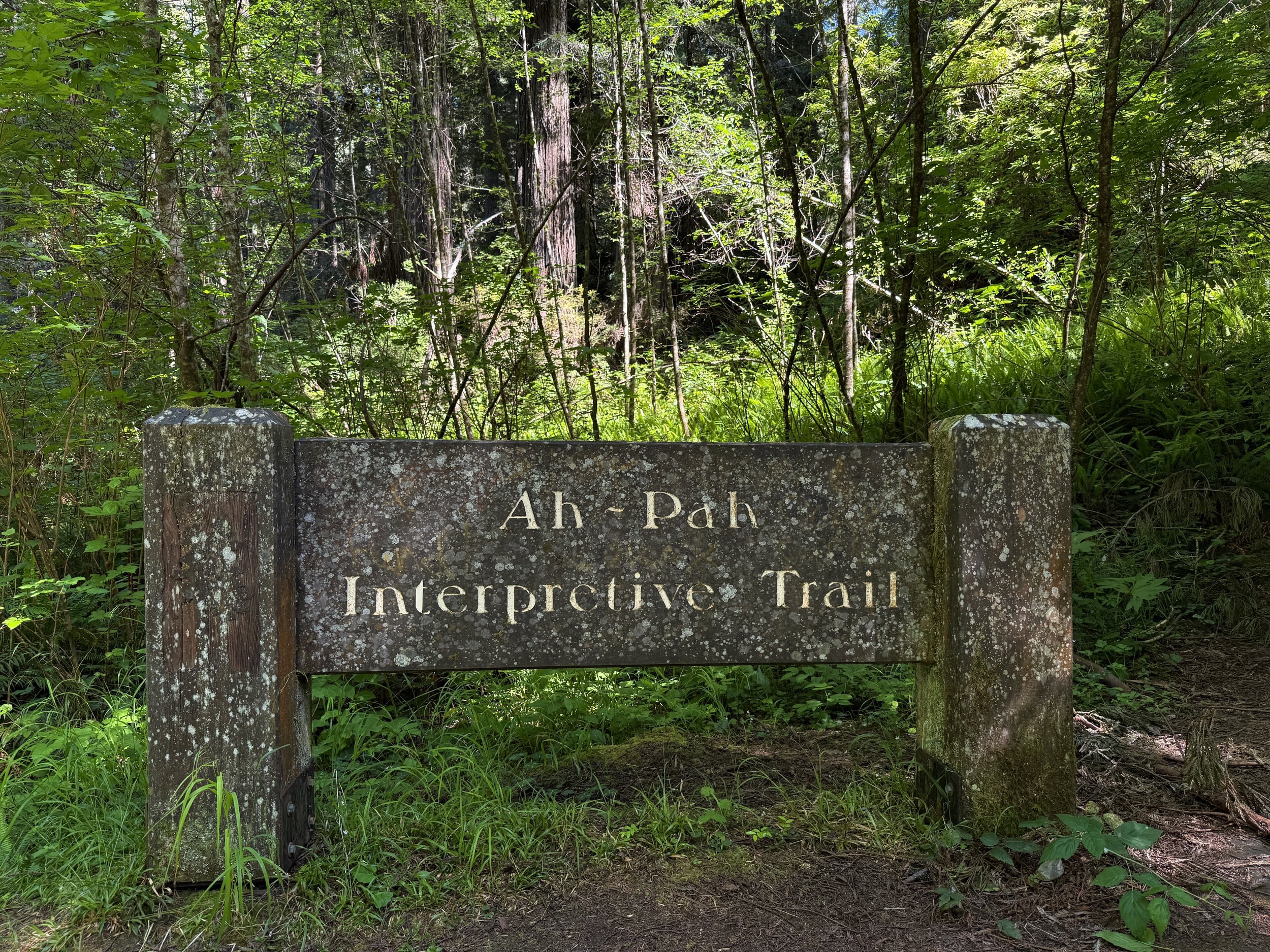 Ah-Pah Interpretive Trailhead Prairie Creek Redwoods State Park California