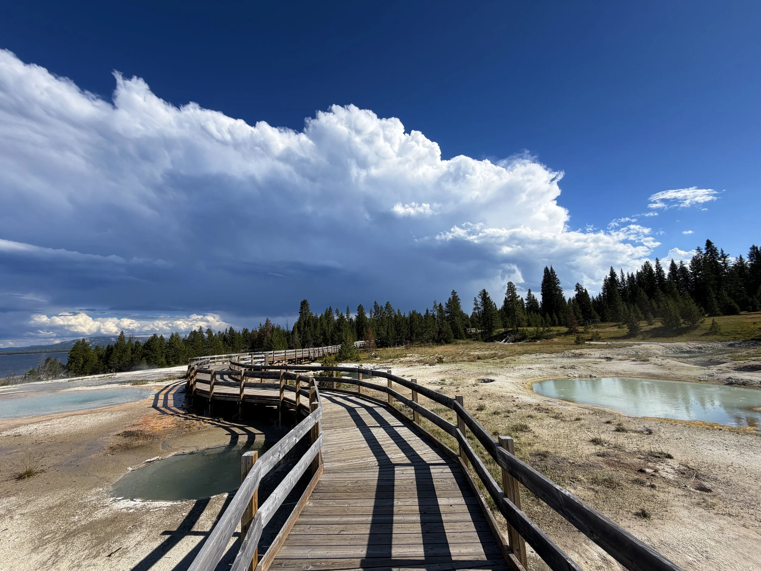 West Thumb Geyser Basin Trail Yellowstone National Park Wyoming