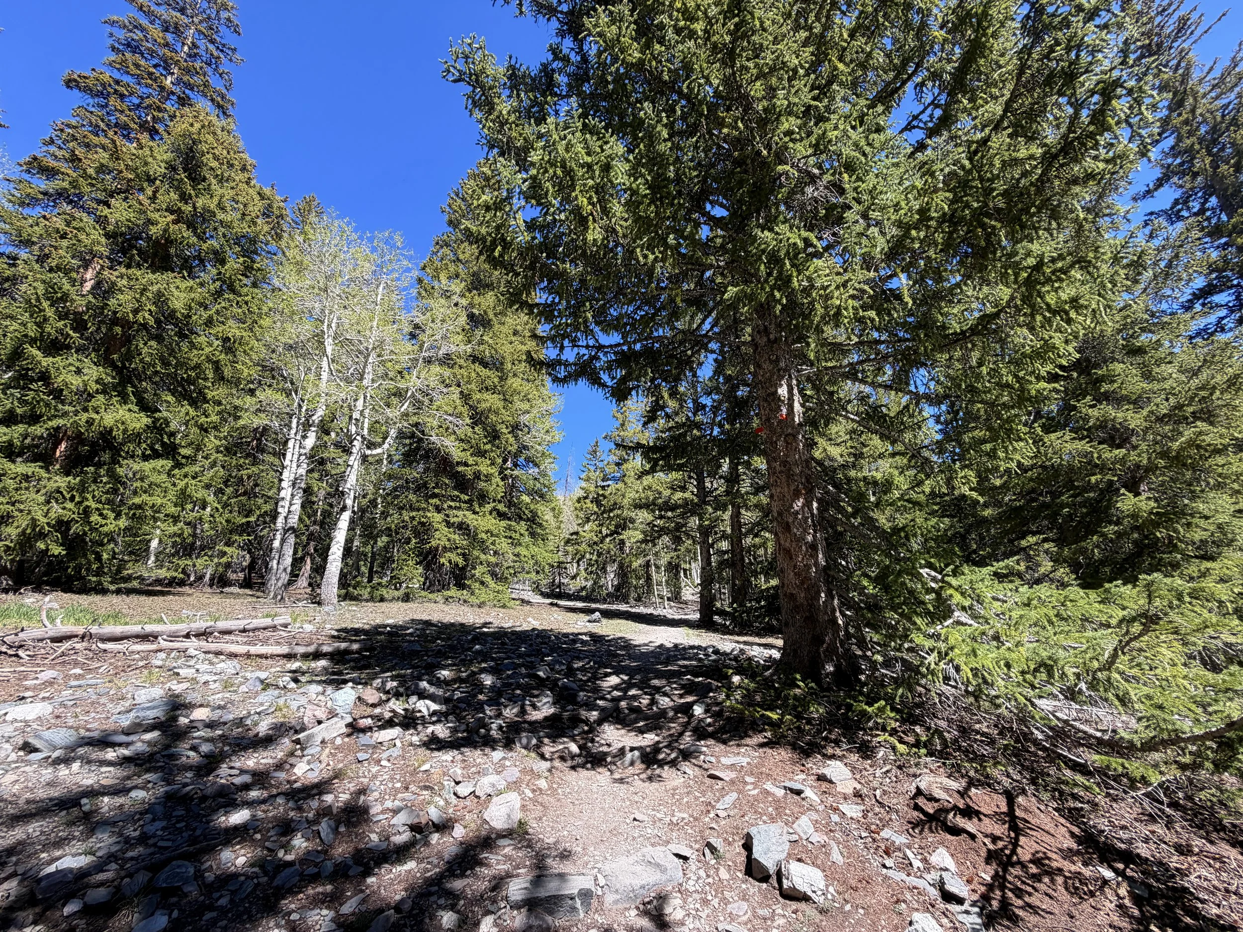 Alpine Lakes Hike Great Basin National Park Nevada