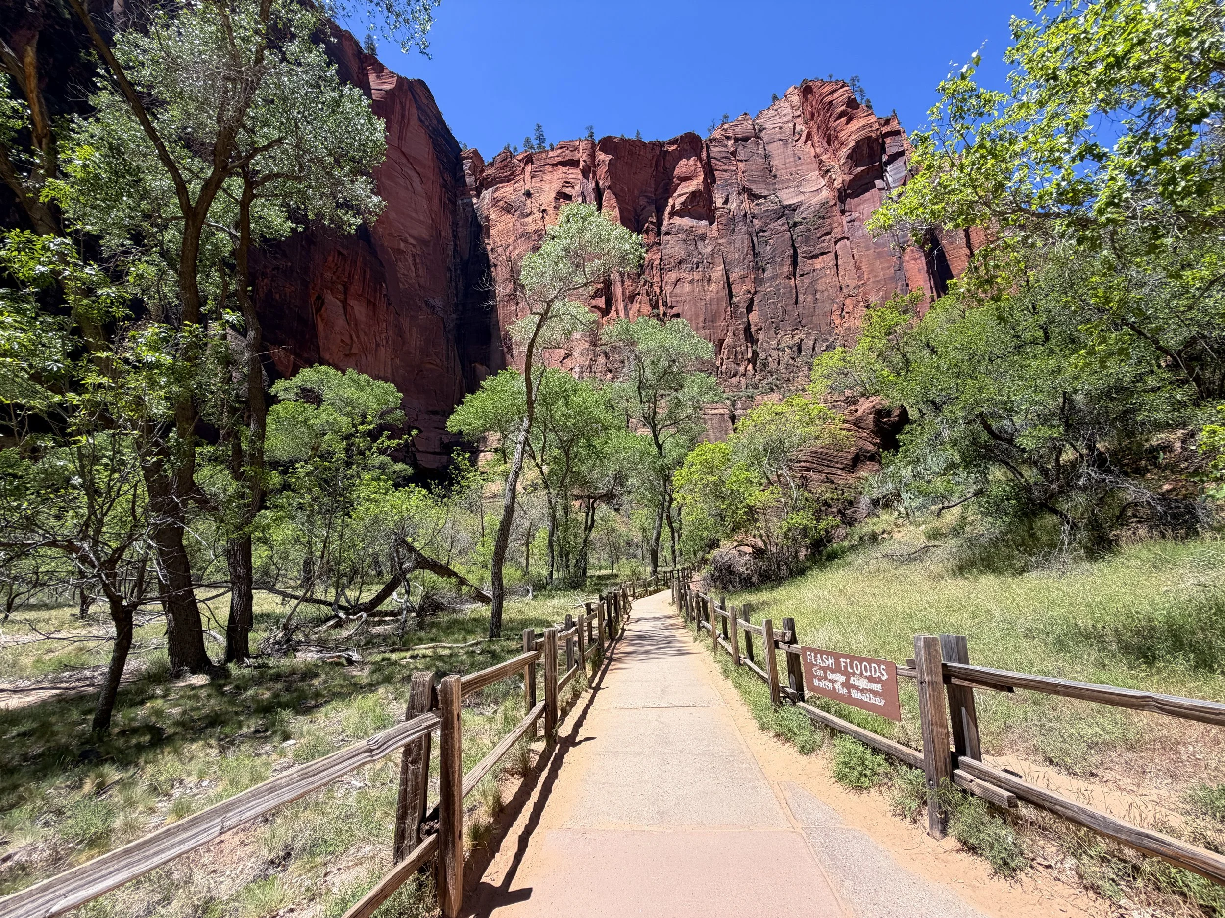 Riverside Walk Zion National Park Utah