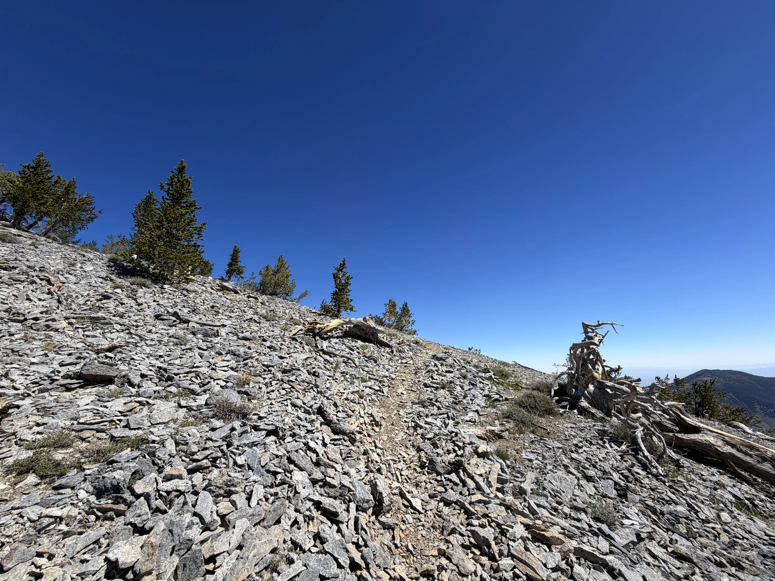Snake Divide Trail to Magic Bristlecone Pine Grove Great Basin National Park Nevada