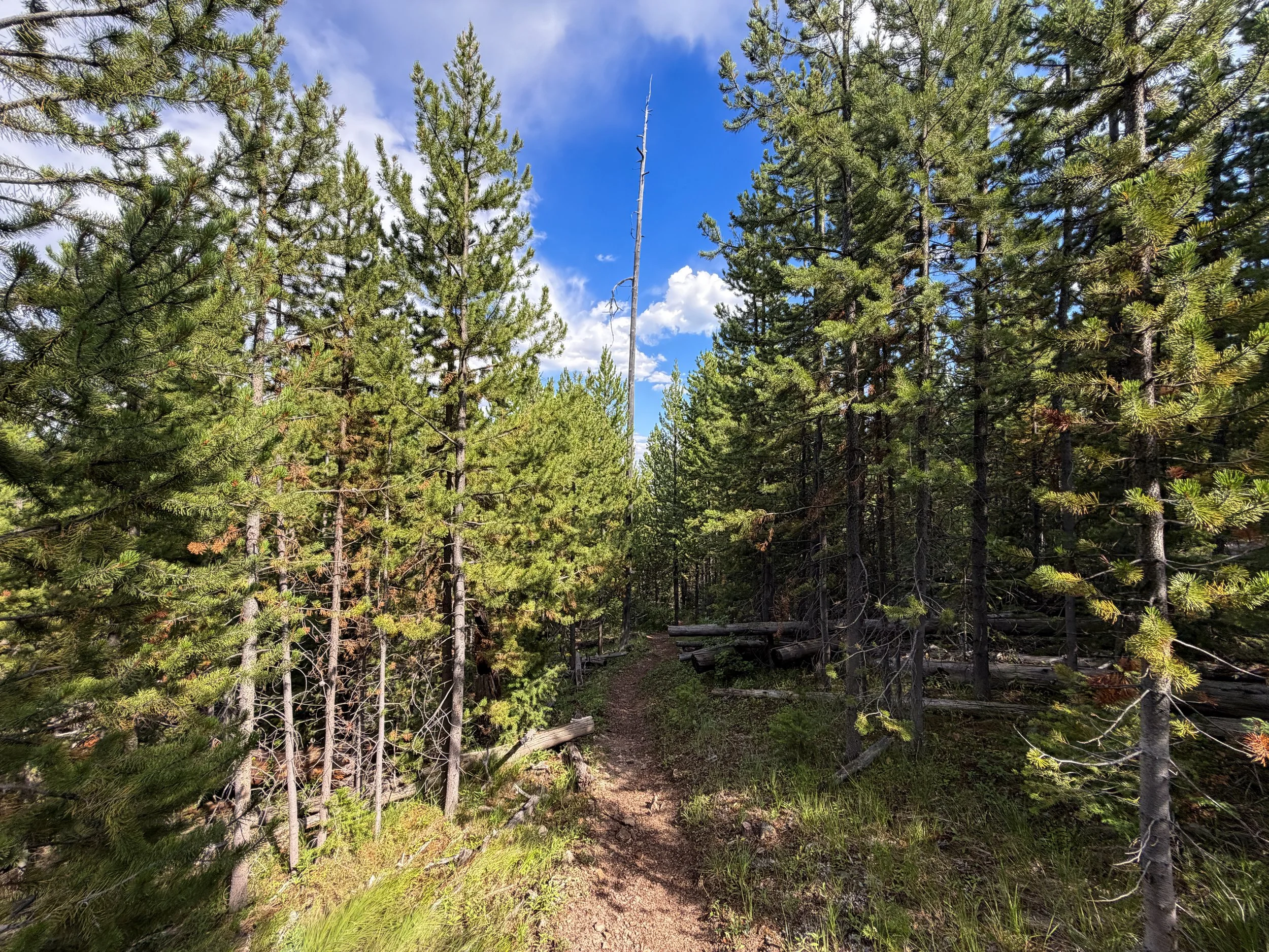 Bunsen Peak Hike Yellowstone National Park Wyoming