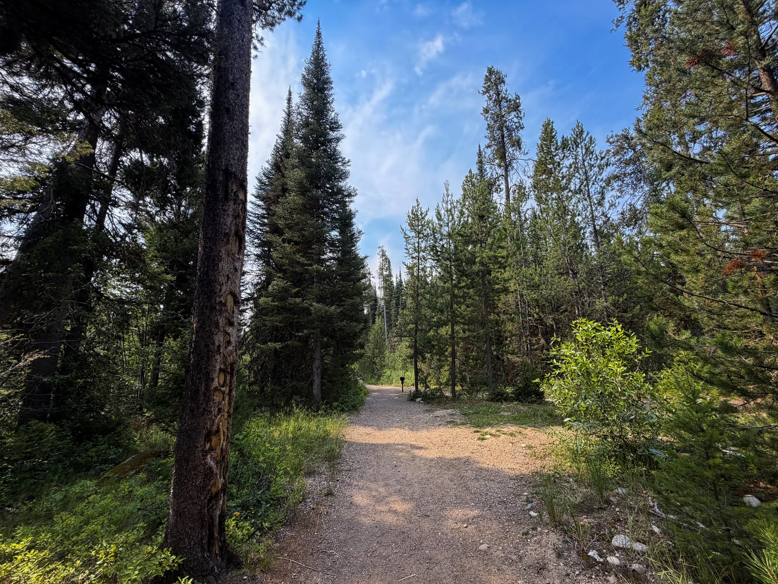 Boulder Ridge Trail Grand Teton National Park Wyoming