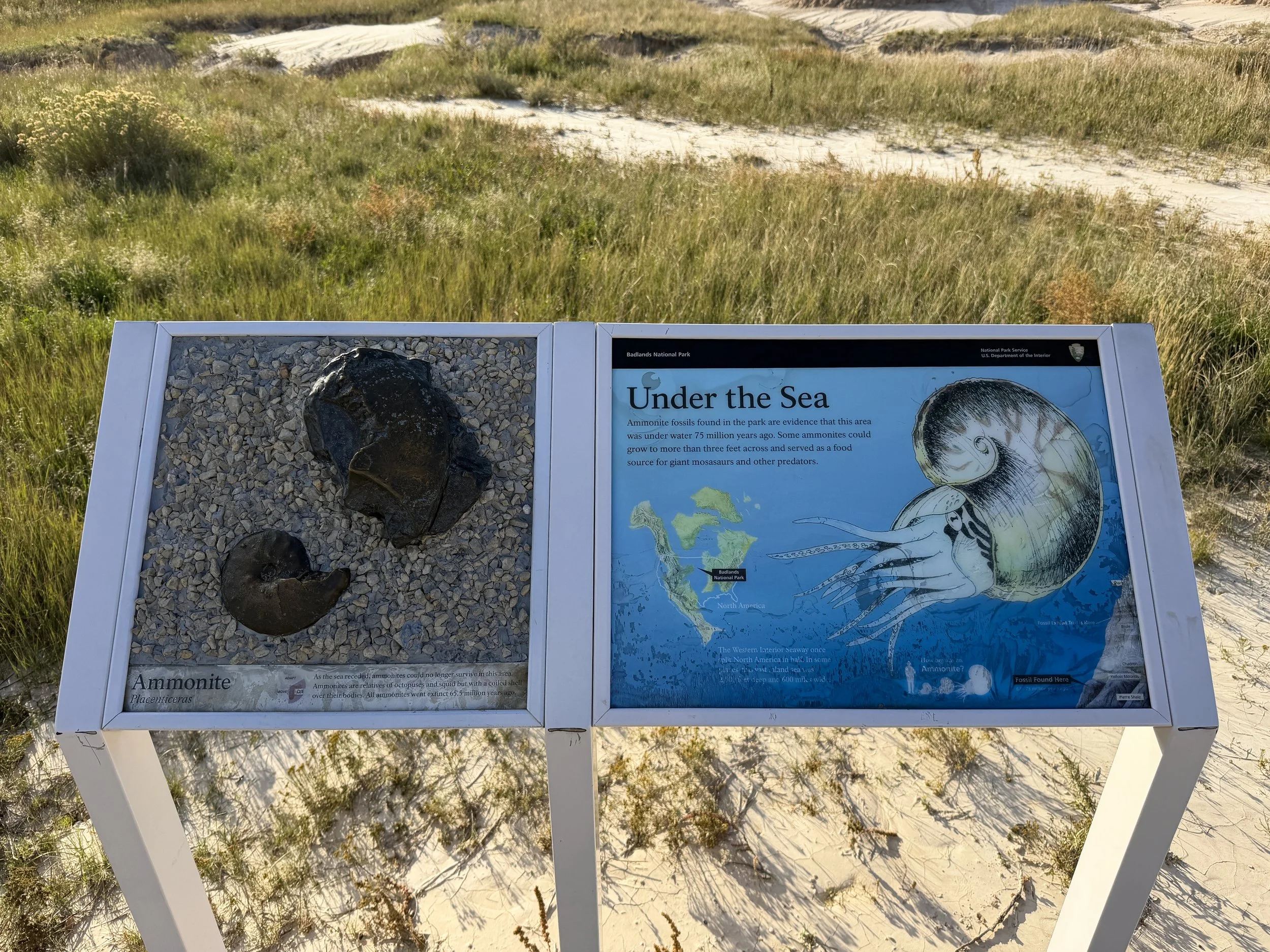 Fossil Exhibit Trail Badlands National Park South Dakota