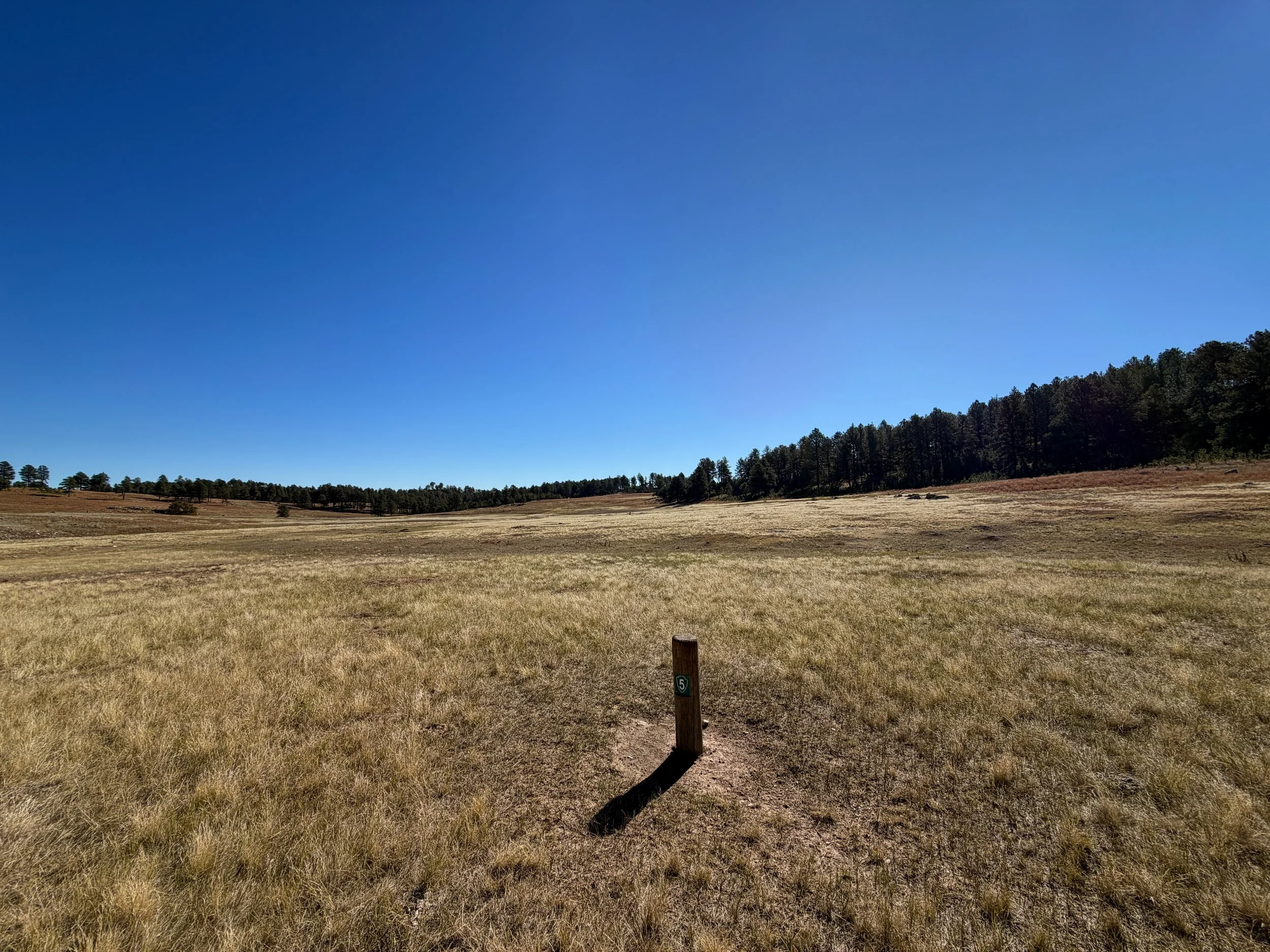 Sanctuary Trail Wind Cave National Park South Dakota