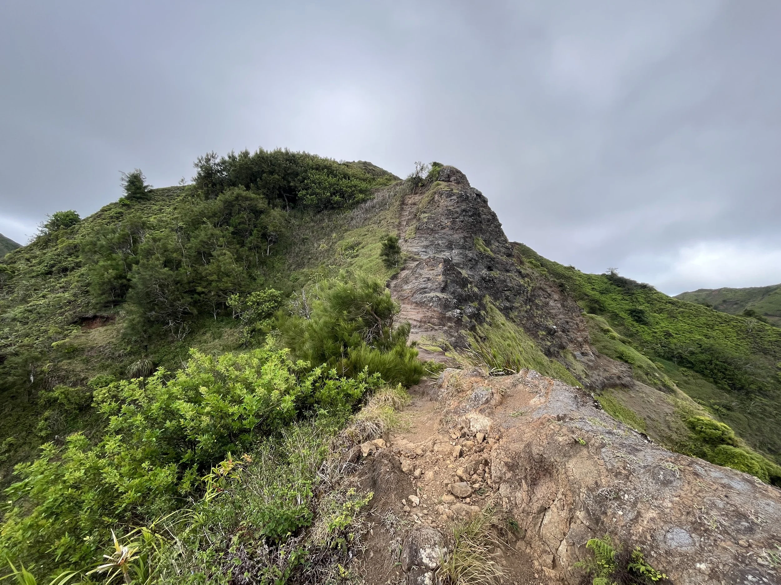Hiking the Puʻu ʻO Kona Trail via Kuliʻouʻou Valley on Oʻahu — noahawaii