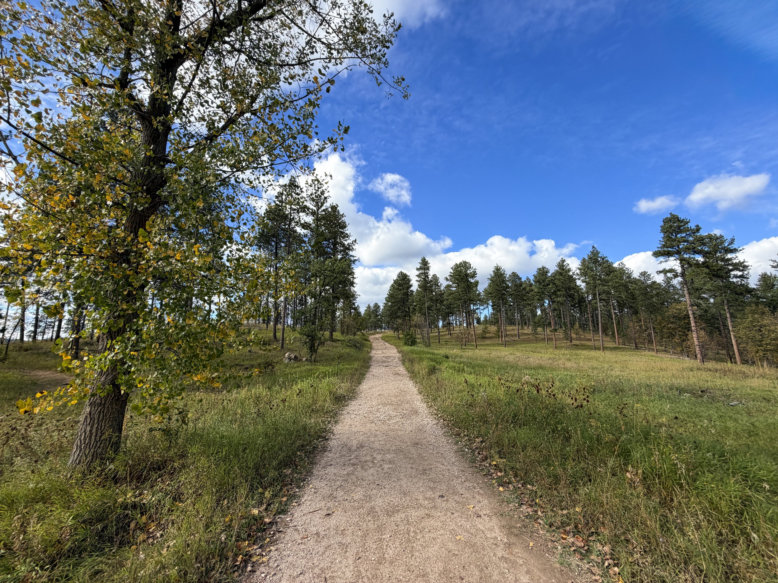 Stratobowl Rim Hike Black Hills South Dakota