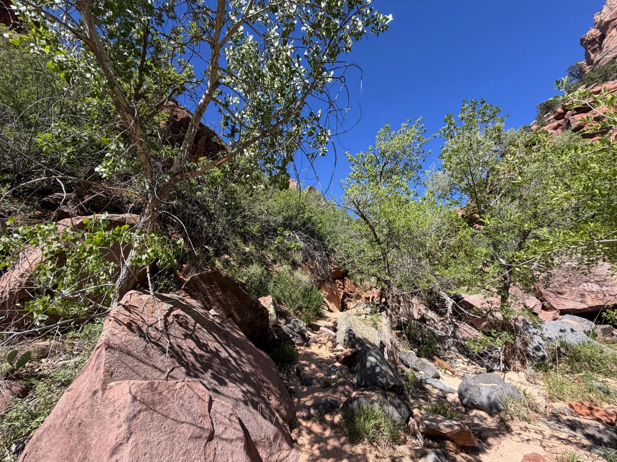 Subway Trail via Left Fork Trailhead Zion National Park Utah