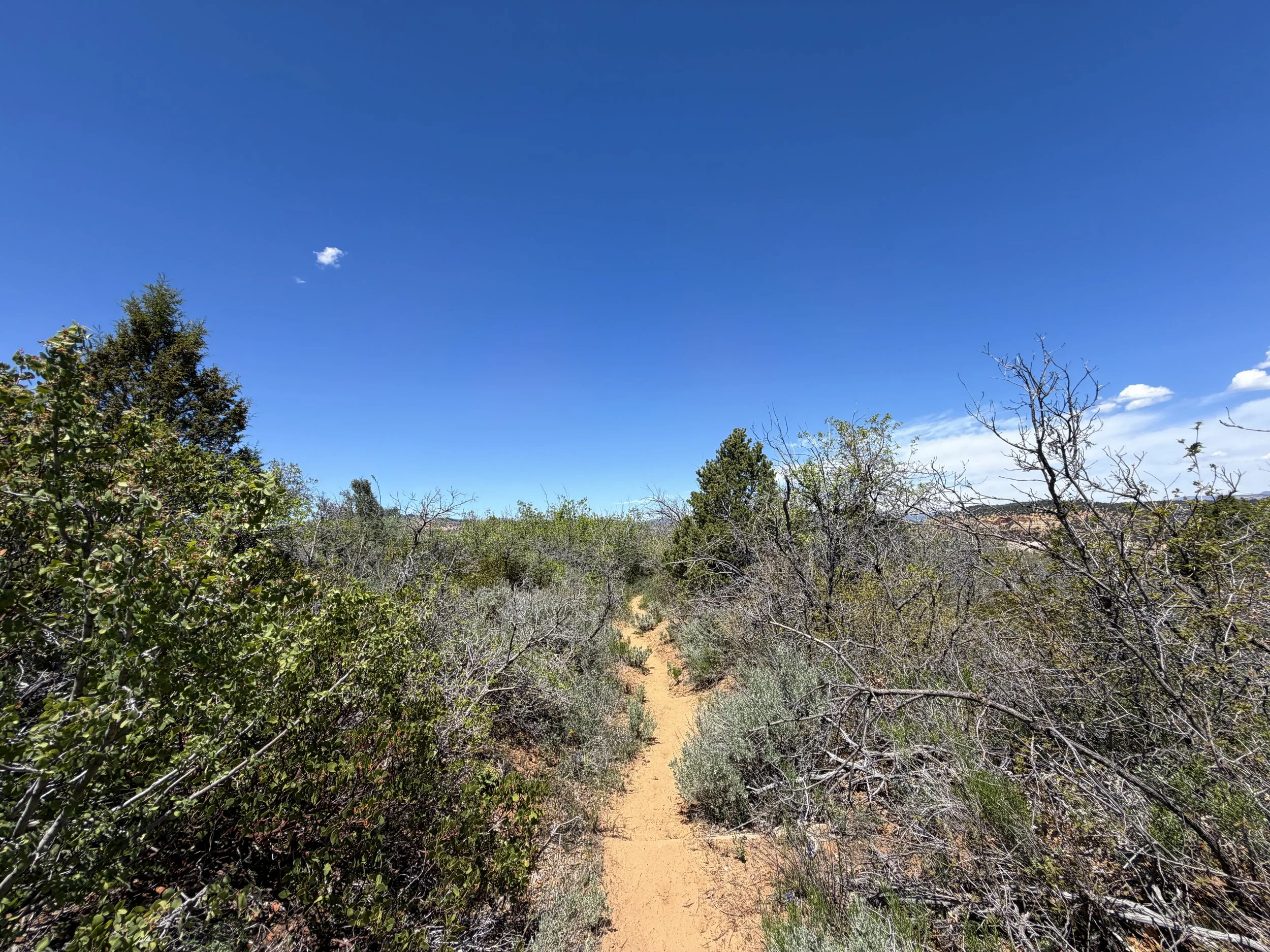 Cable Mountain Trail Zion National Park Utah