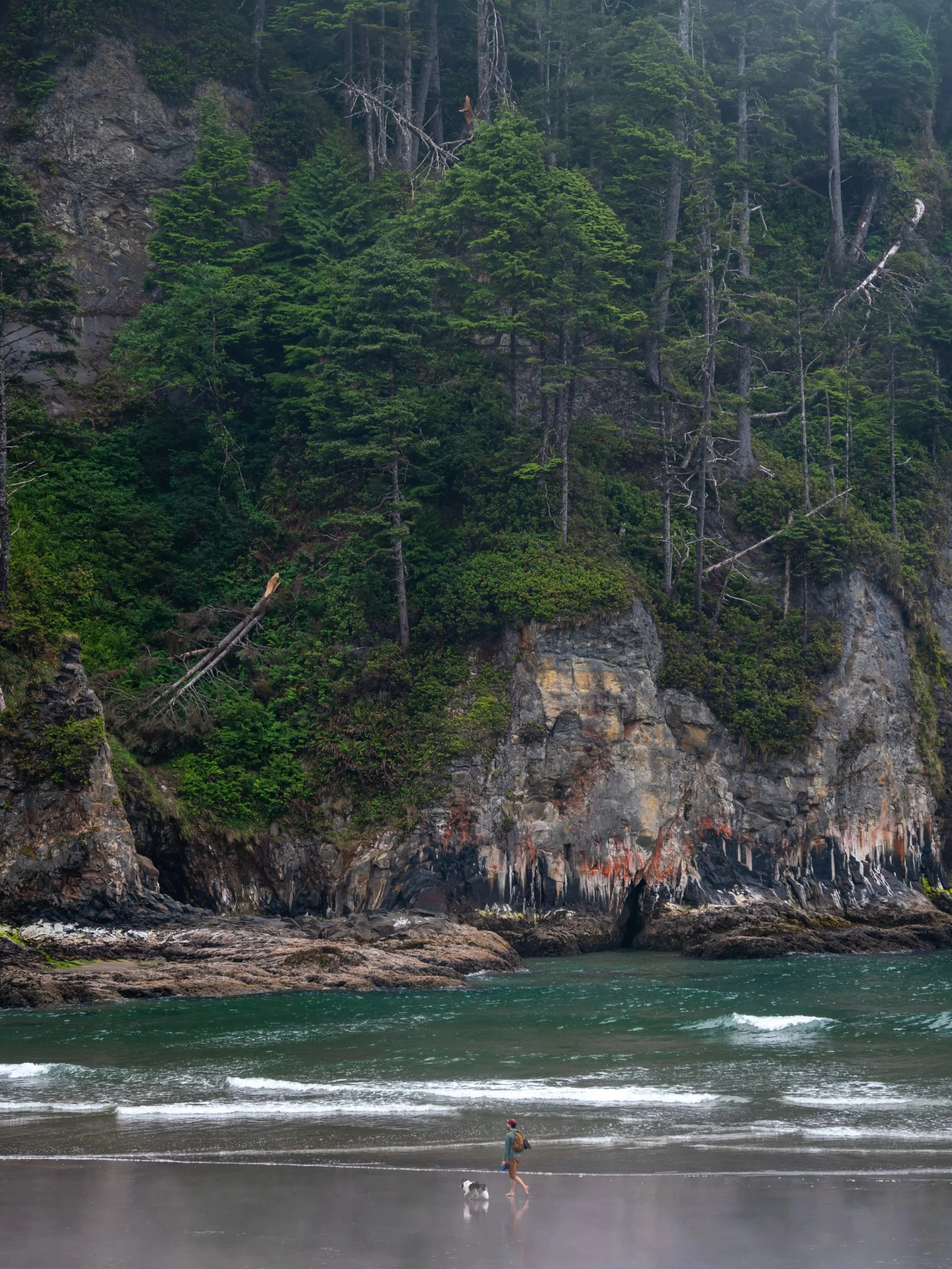 Short Sand Beach Cape Falcon Oregon Coast