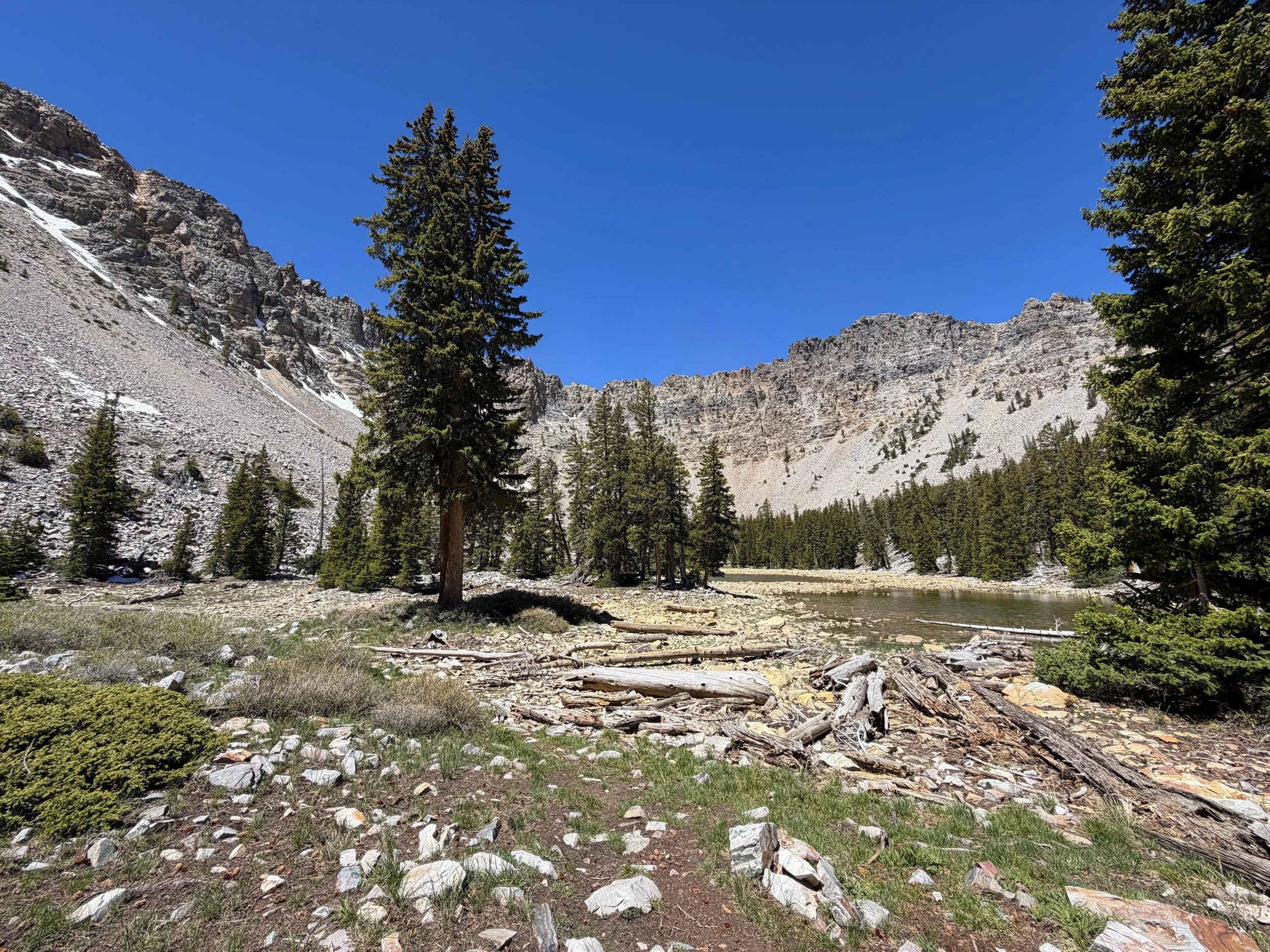 Baker Lake Great Basin National Park Nevada