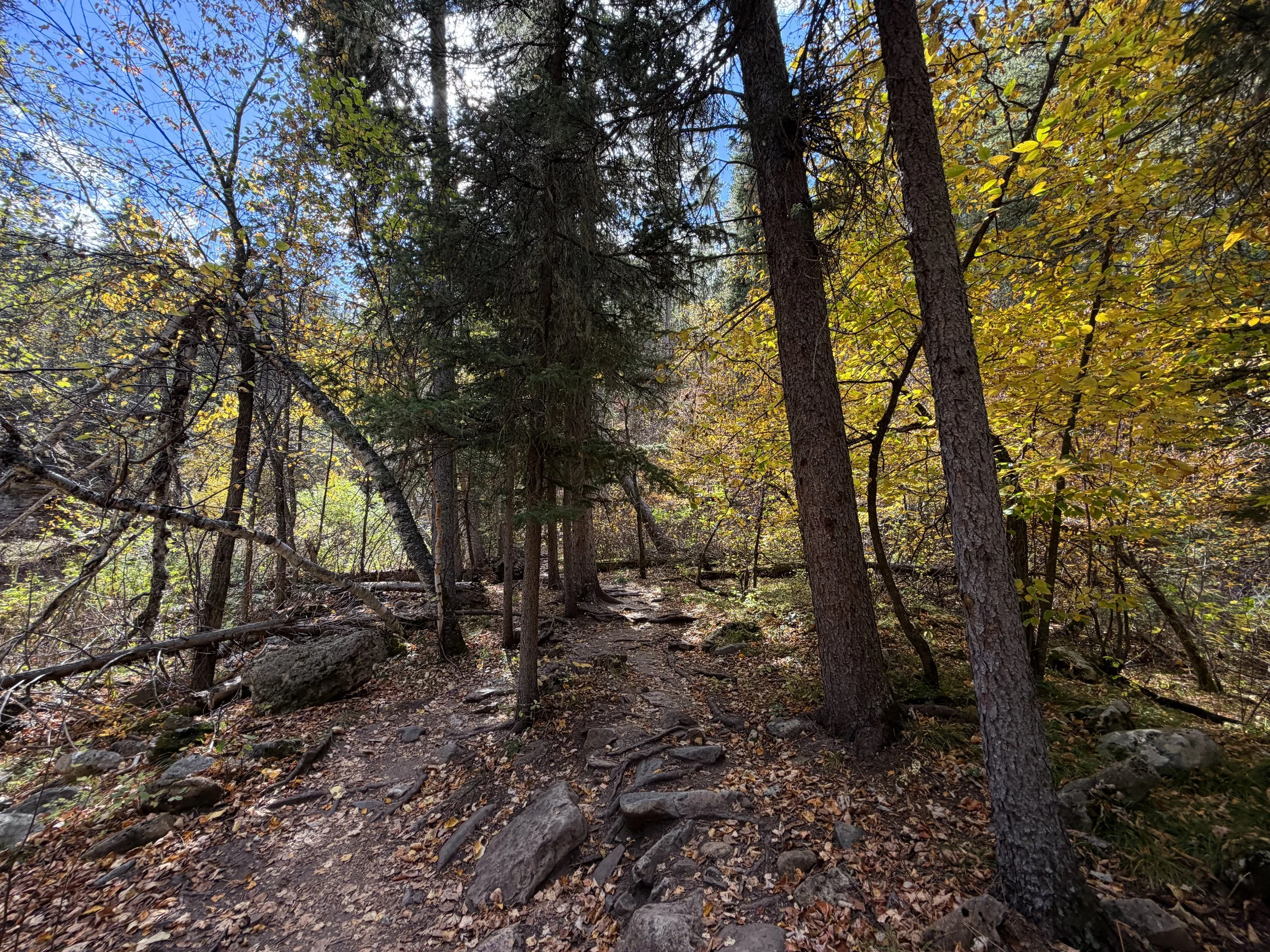 Devils Bathtub Hike Spearfish Canyon Black Hills South Dakota