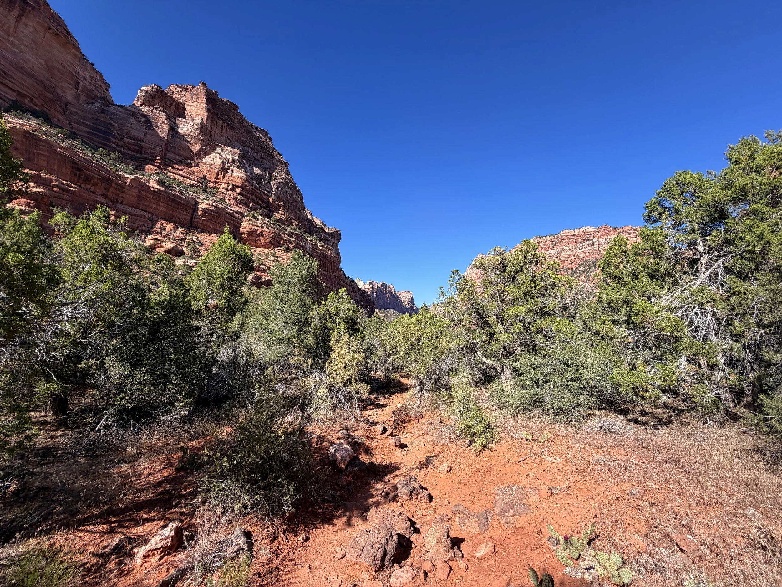 Left Fork Trail to the Subway Zion National Park Utah