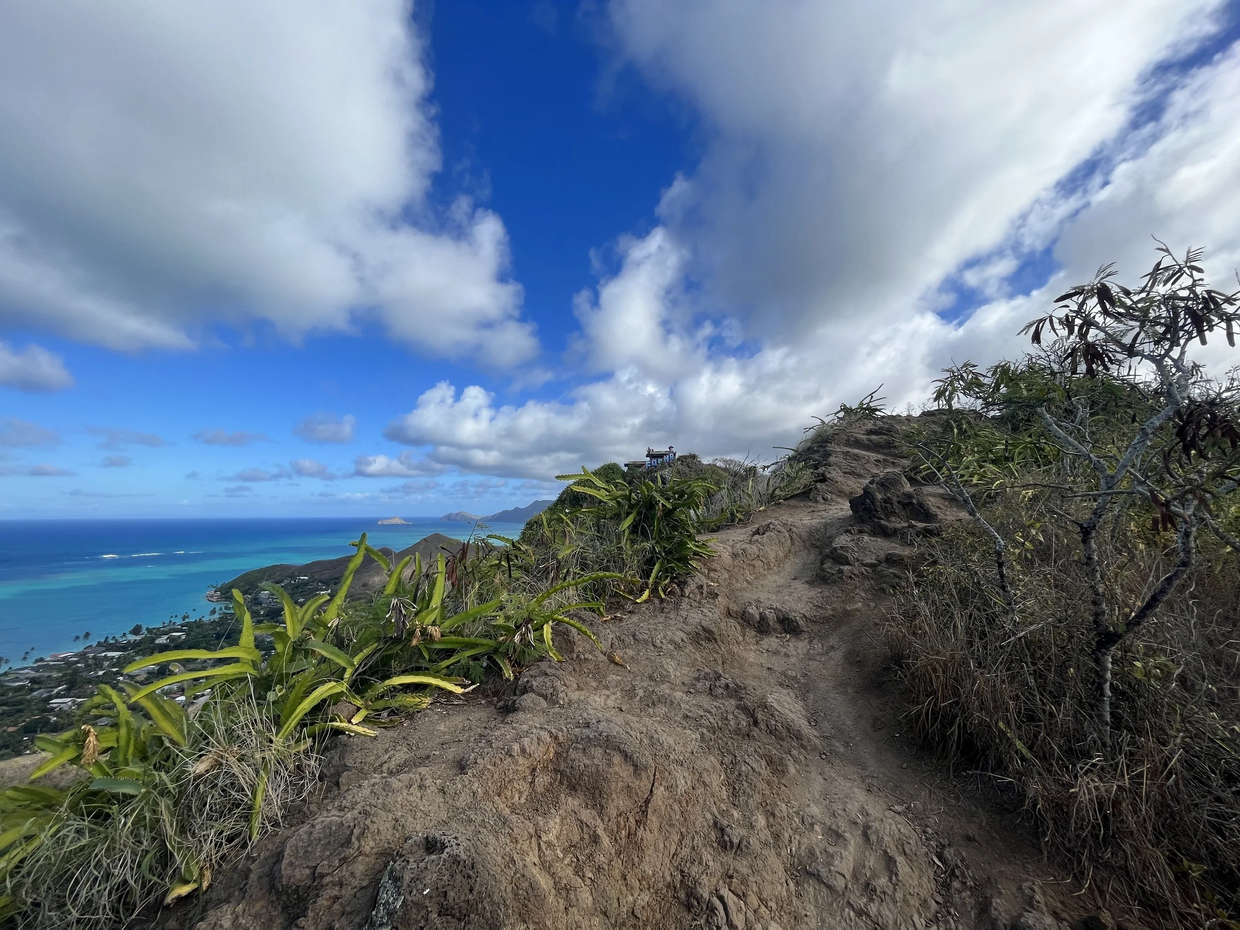 Hiking the Lanikai Pillbox Trail (Kaʻiwa Ridge) on Oʻahu All Three