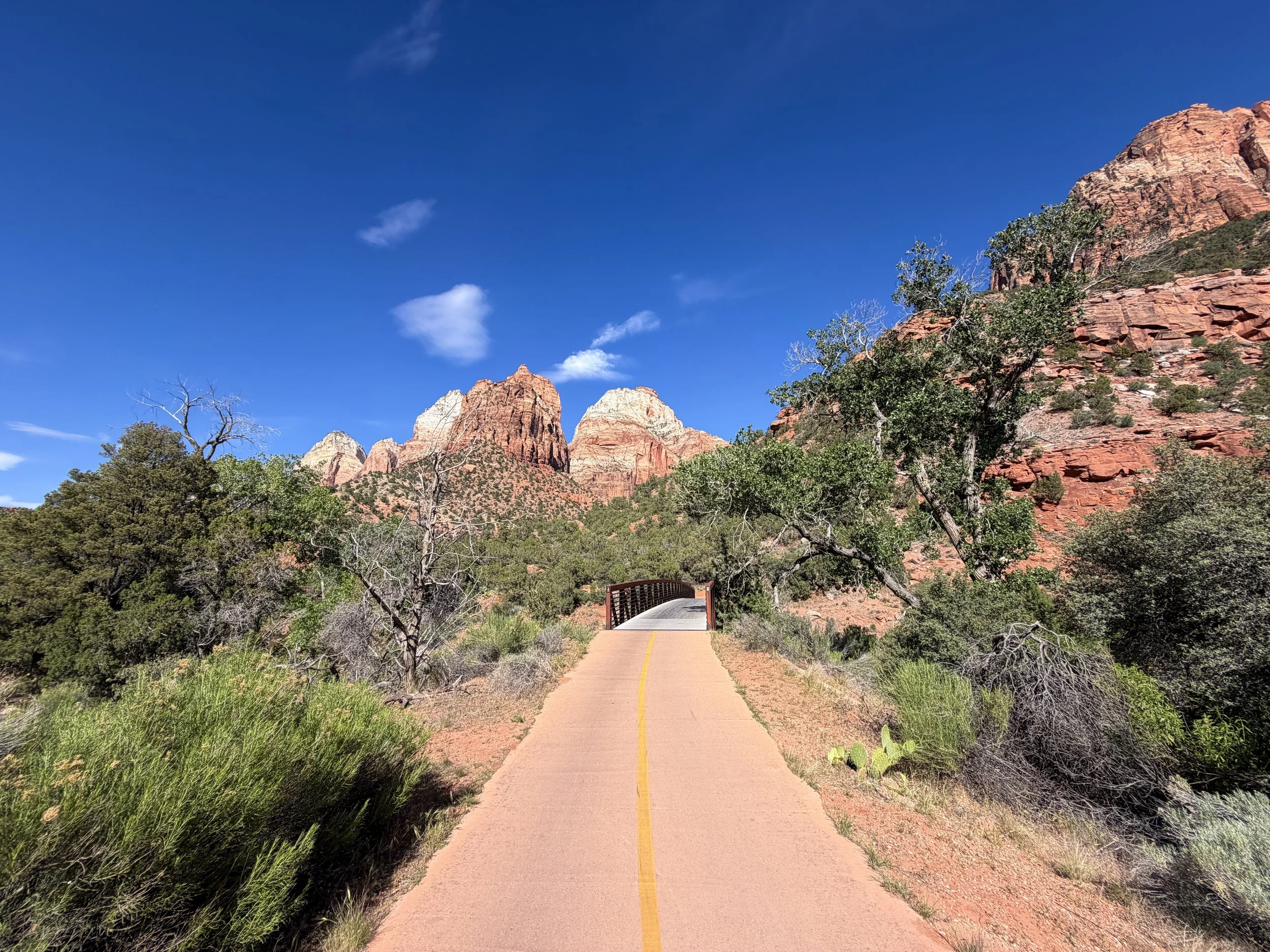 Parus Bike Trail Zion National Park Utah