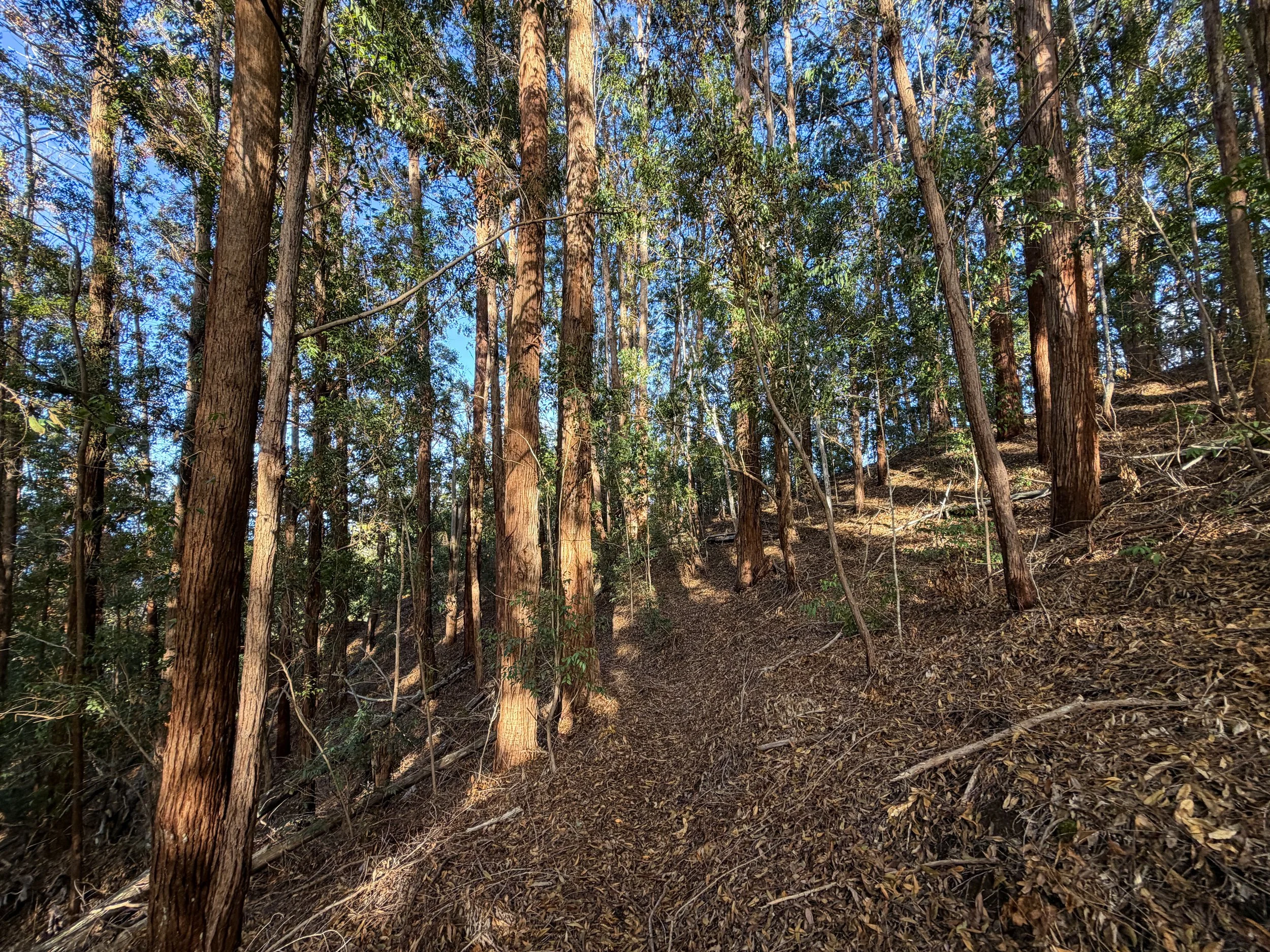 Mokuleia Trail Oahu Hawaii