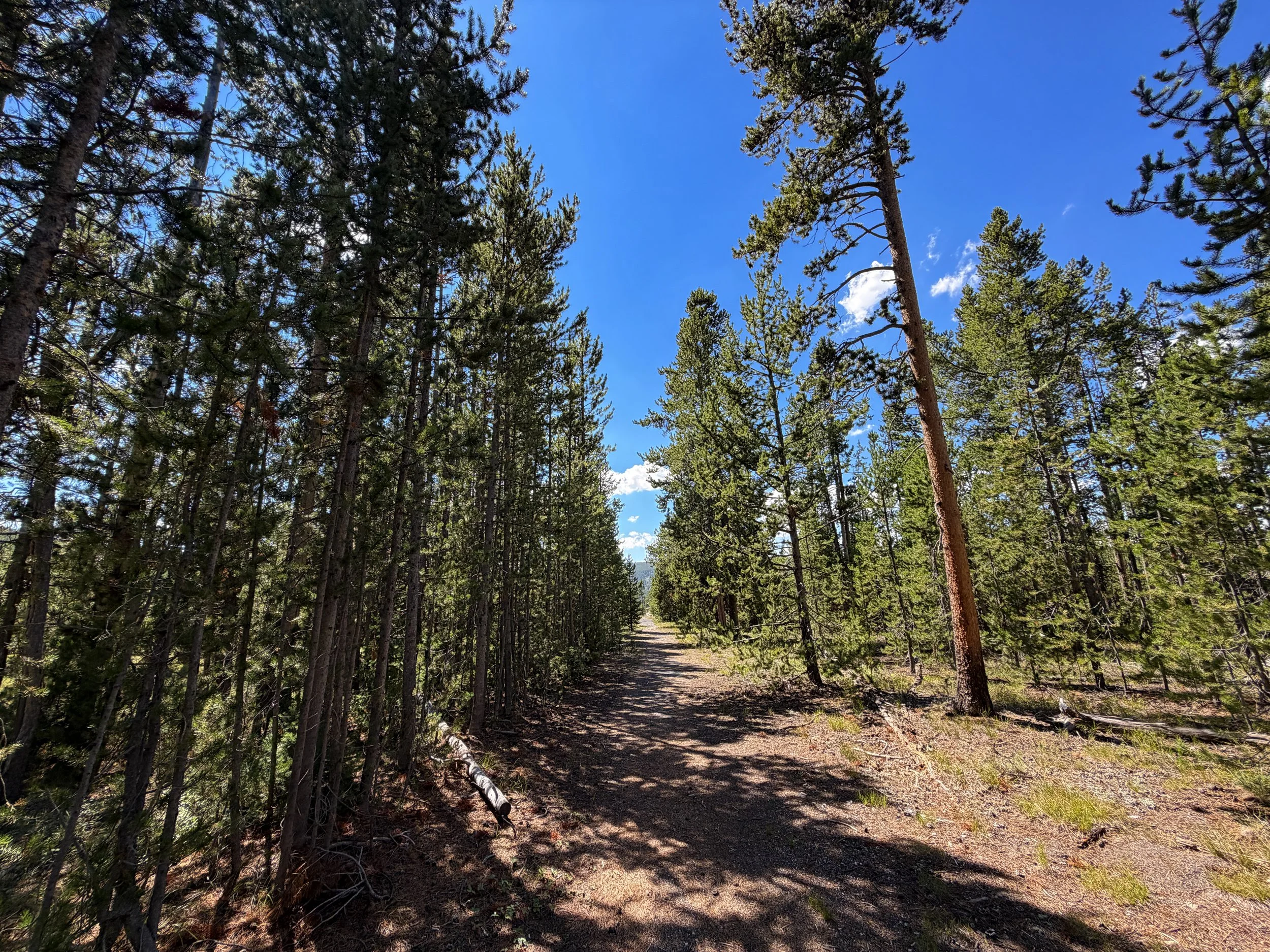 Fern Cascade Loop Trail Yellowstone National Park Wyoming