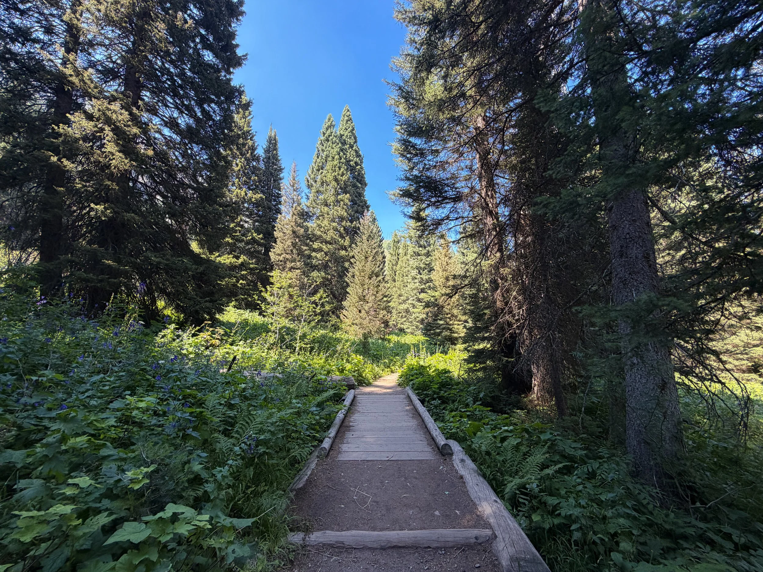 Jenny Lake Loop Trail Grand Teton National Park Wyoming