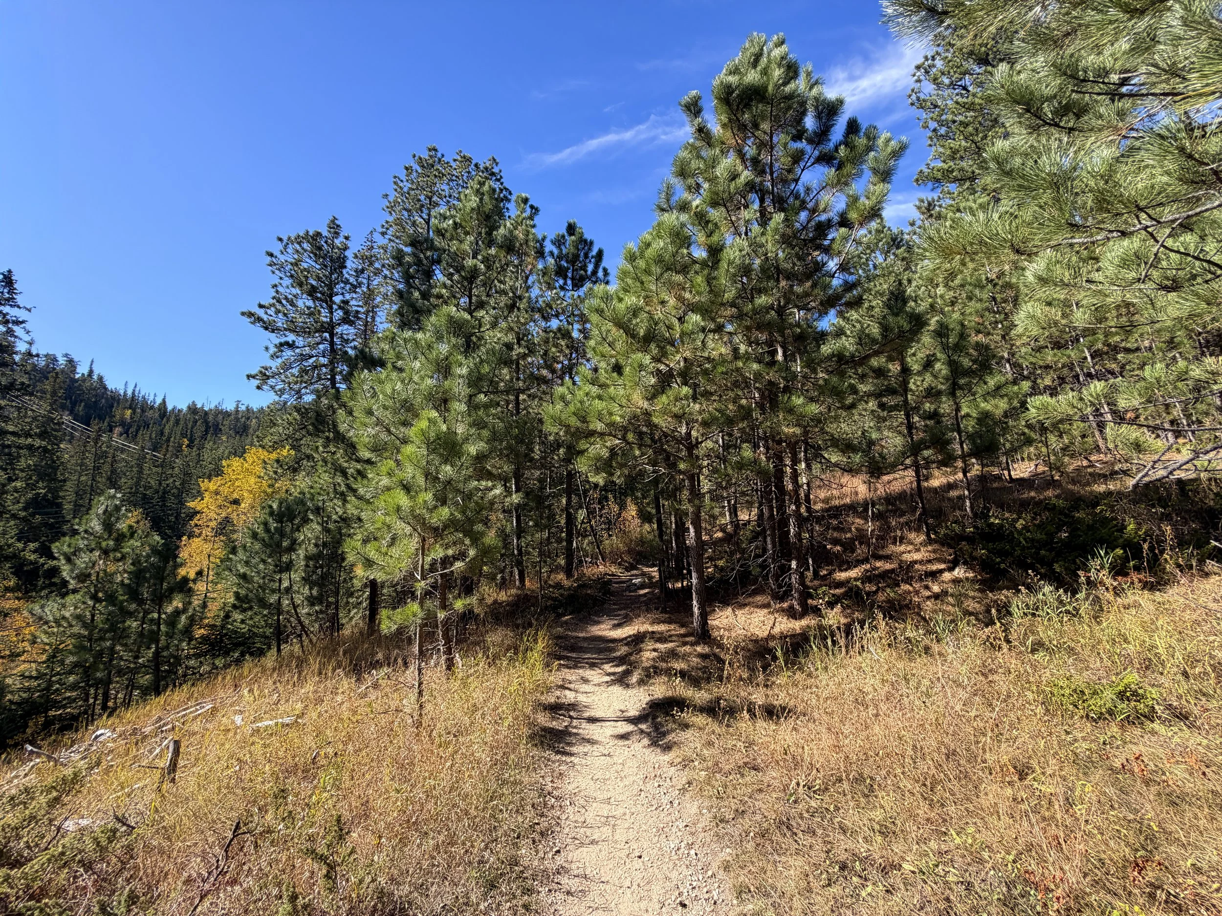 Sunday Gulch Trail Custer State Park Black Hills South Dakota