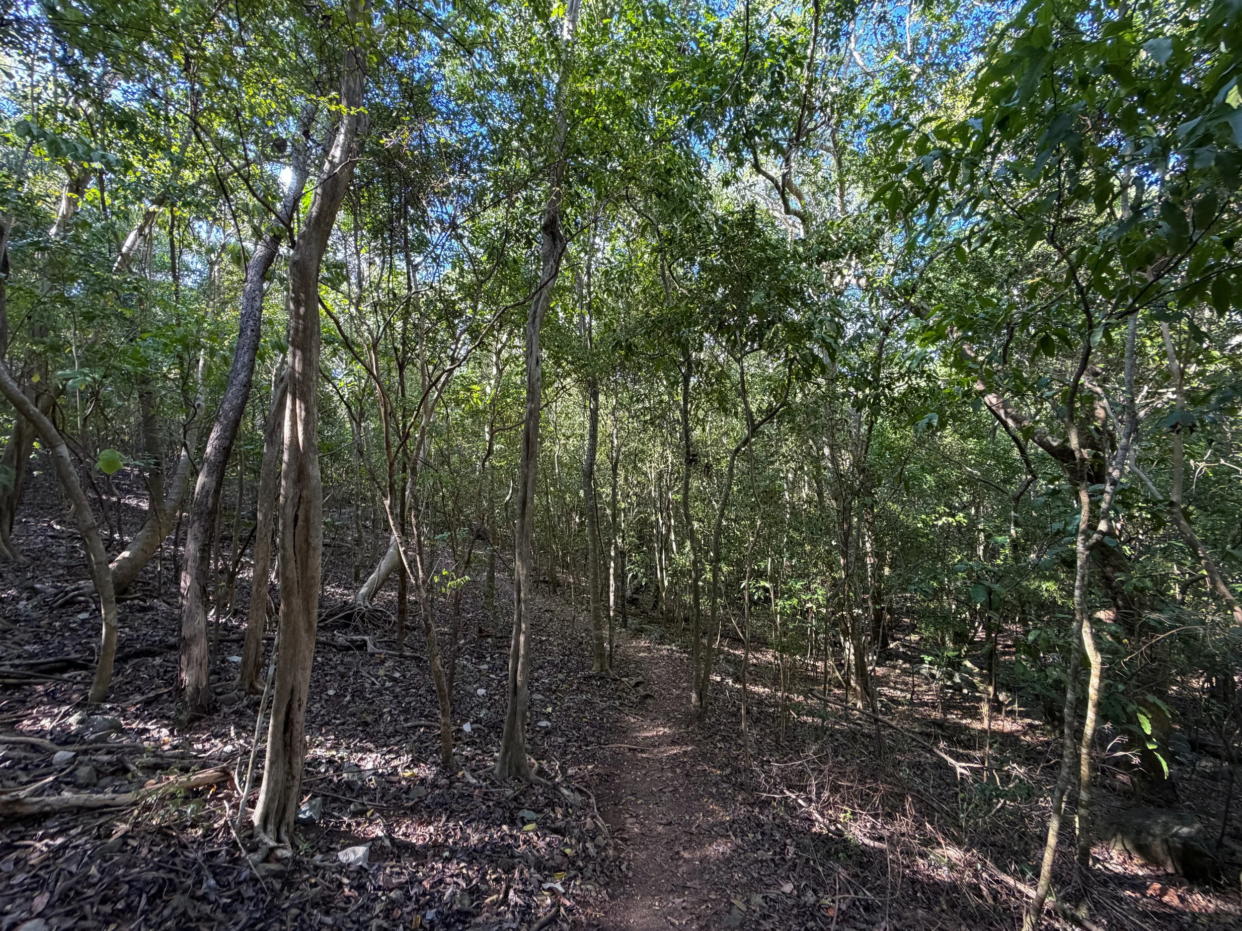 Denis Bay Trail to Oppenheimer Beach Virgin Islands National Park