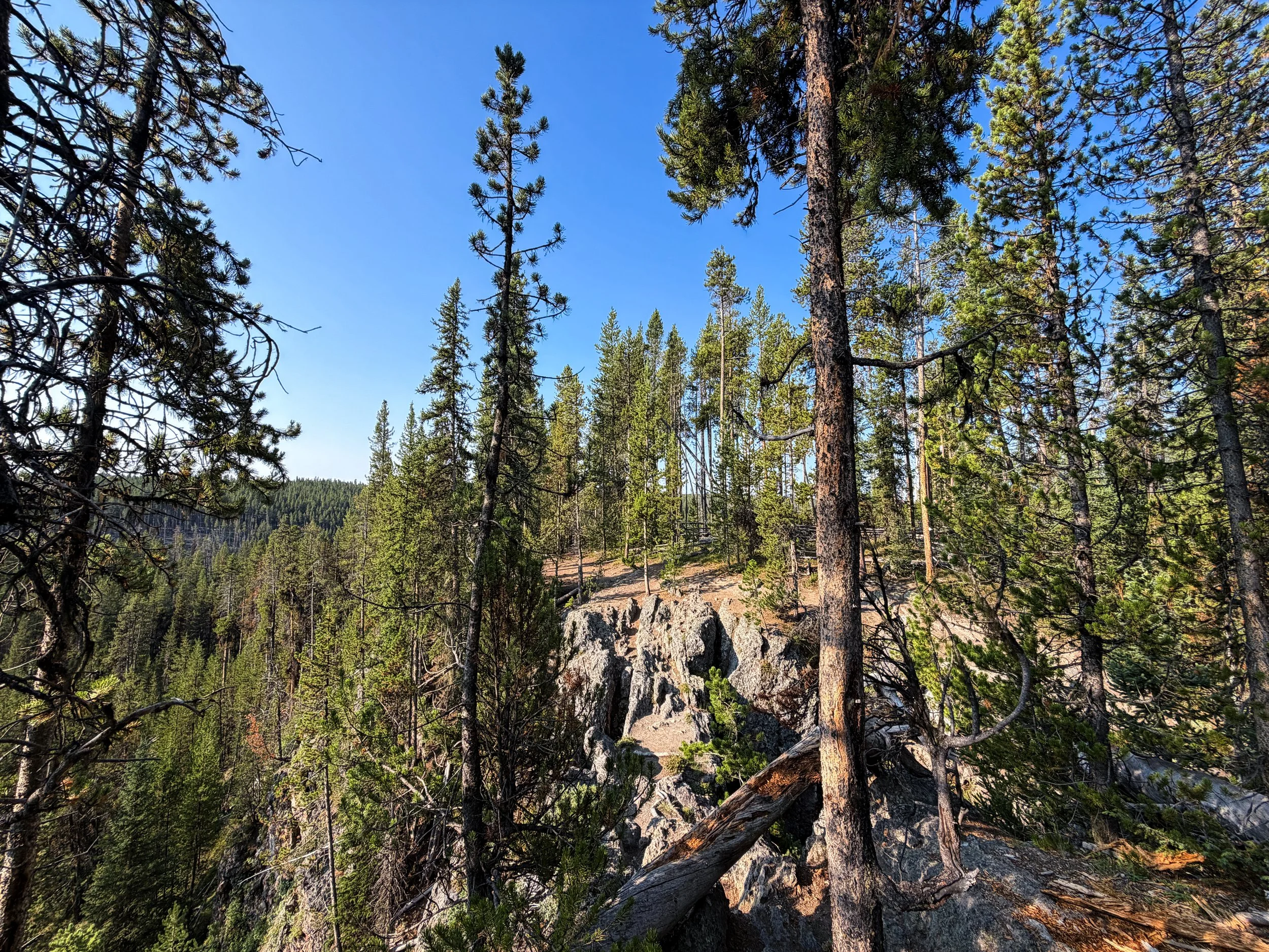 Top of Natural Bridge Yellowstone National Park Wyoming