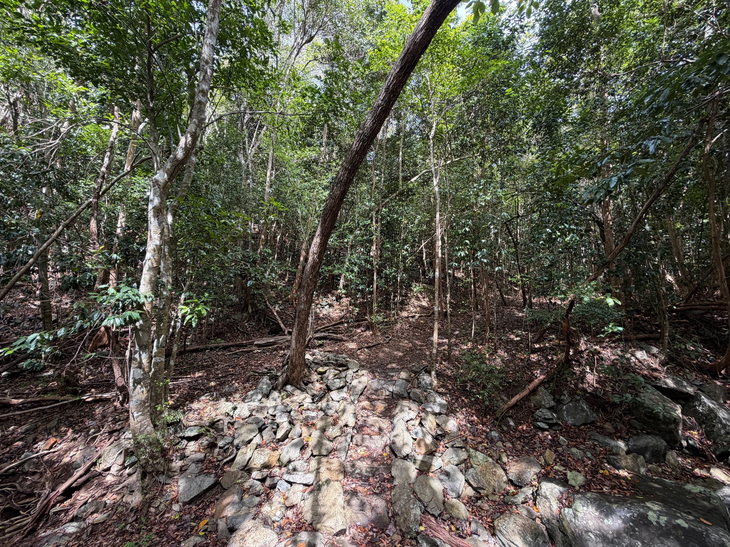 America Hill Hike Virgin Islands National Park