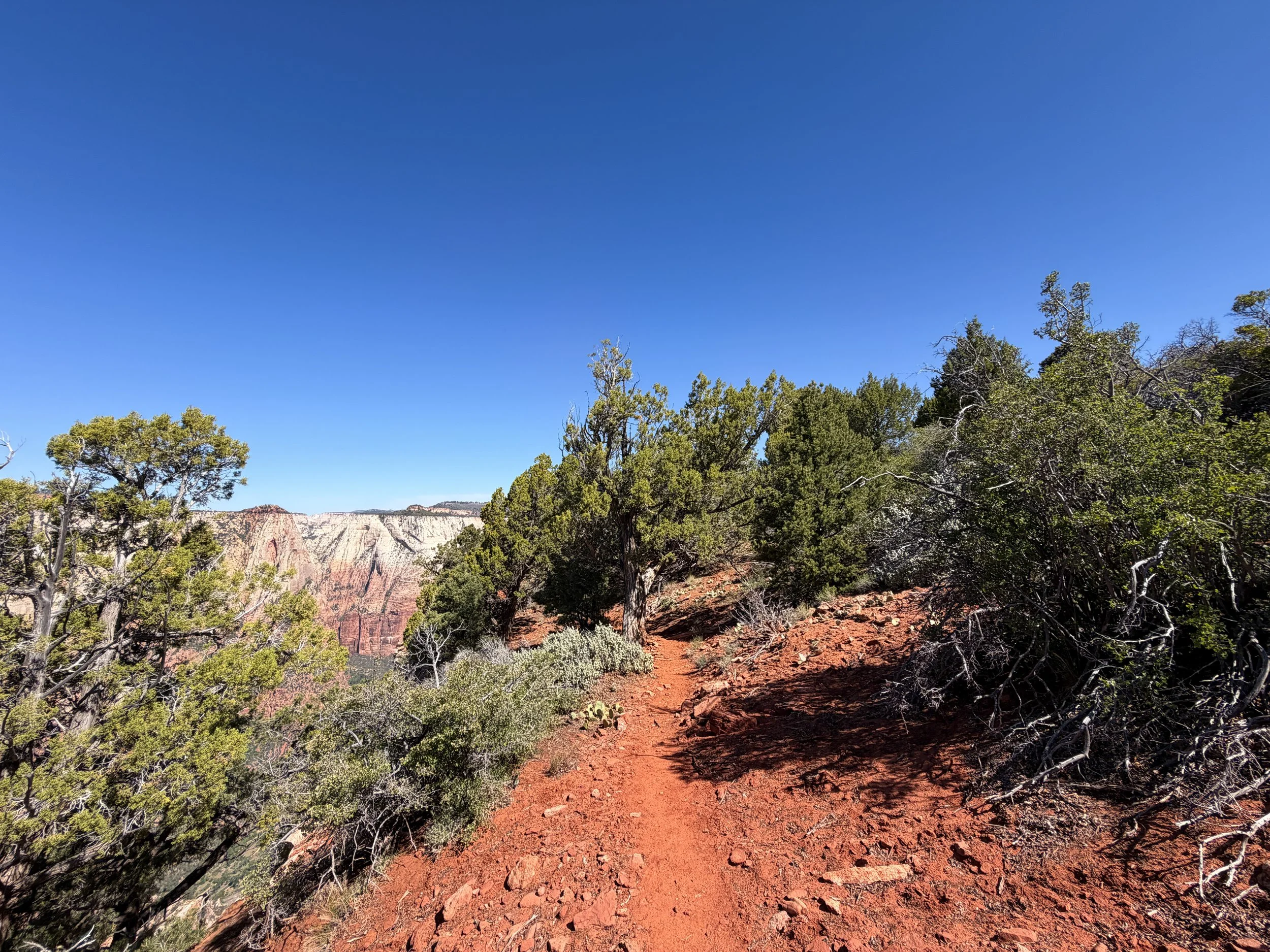 Deertrap Mountain Trail Zion National Park Utah