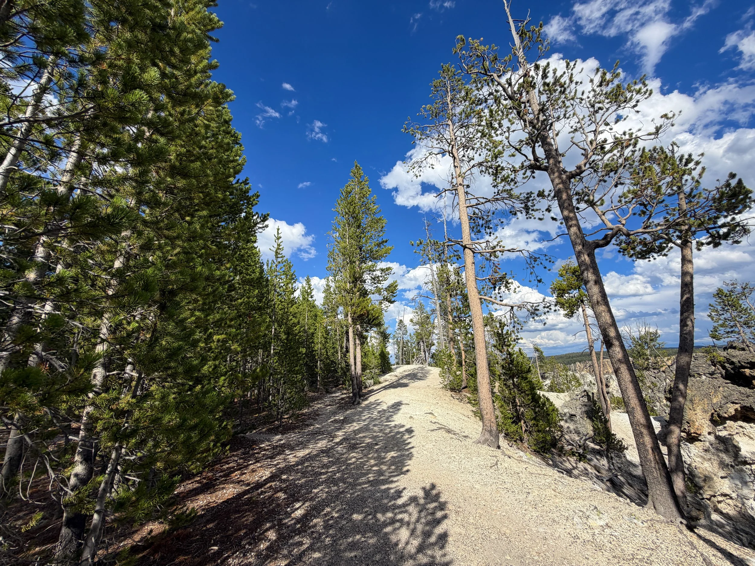 North Rim Trail Yellowstone National Park Wyoming