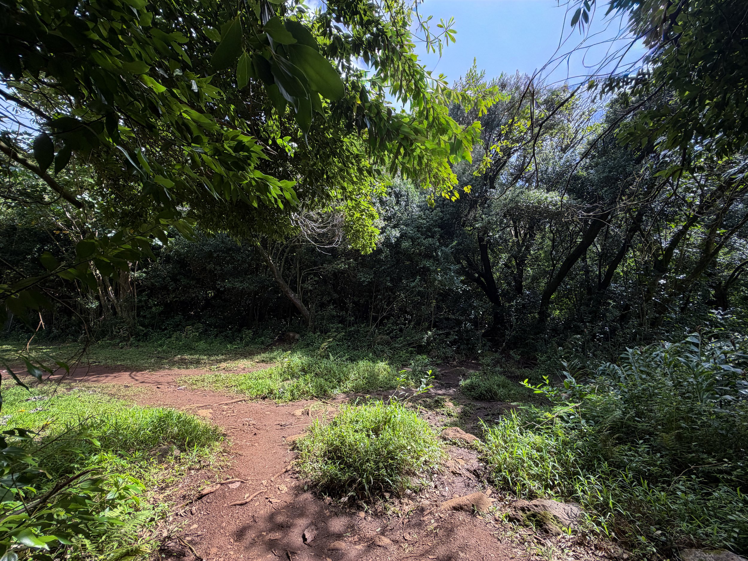 Lulumahu Falls Hike Oahu Hawaii
