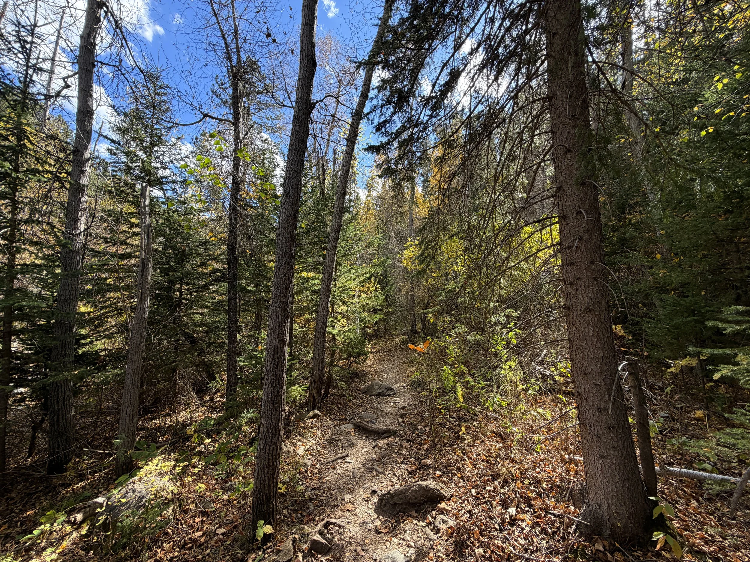 Devils Bathtub Hike Spearfish Canyon Black Hills South Dakota