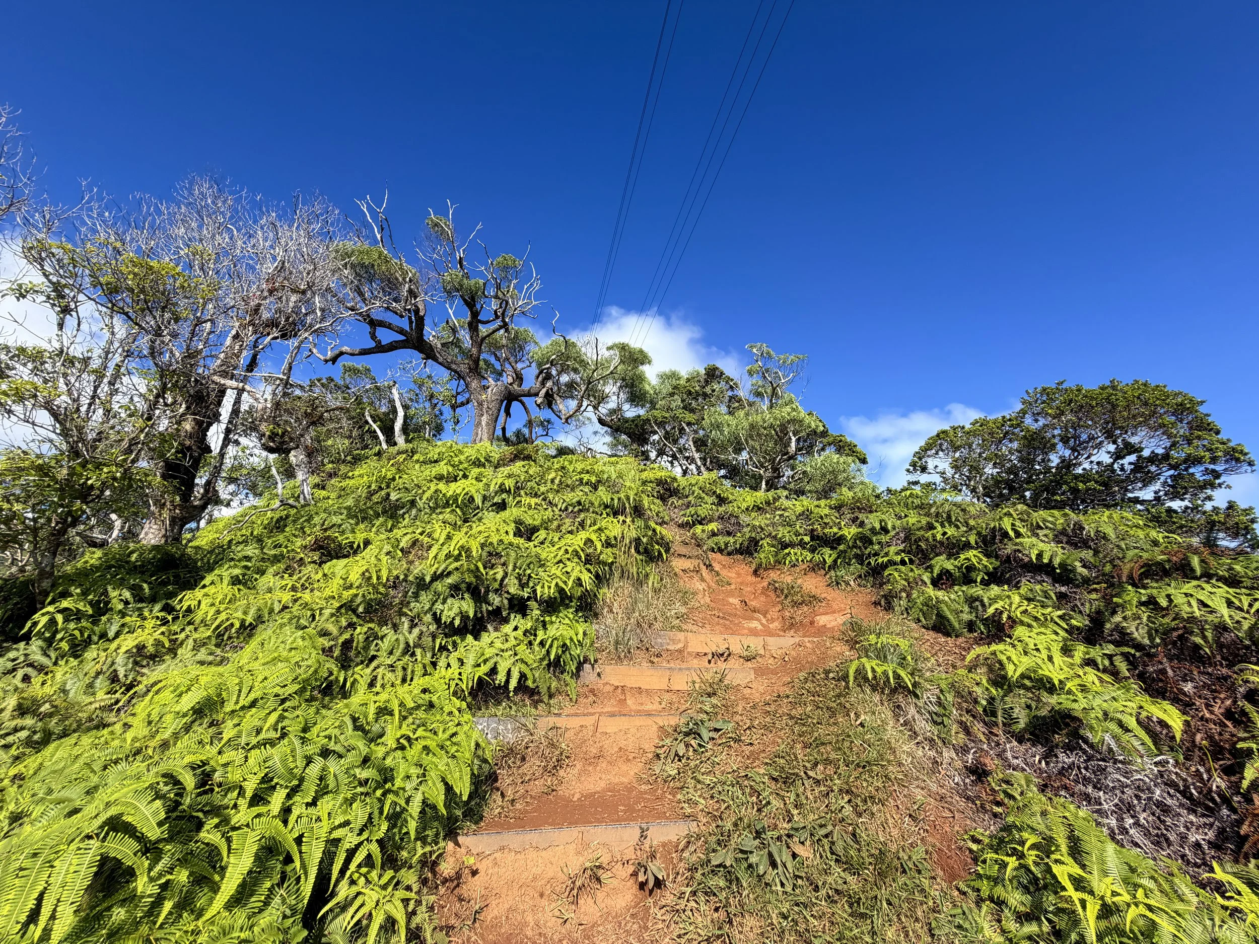 Wiliwilinui Ridge Trail Stairs Oahu Hawaii