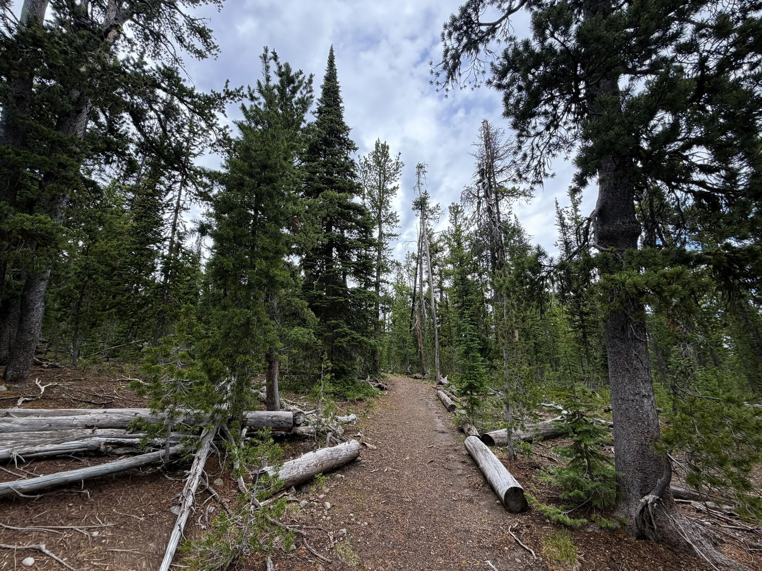 Divide Trail Yellowstone National Park Wyoming
