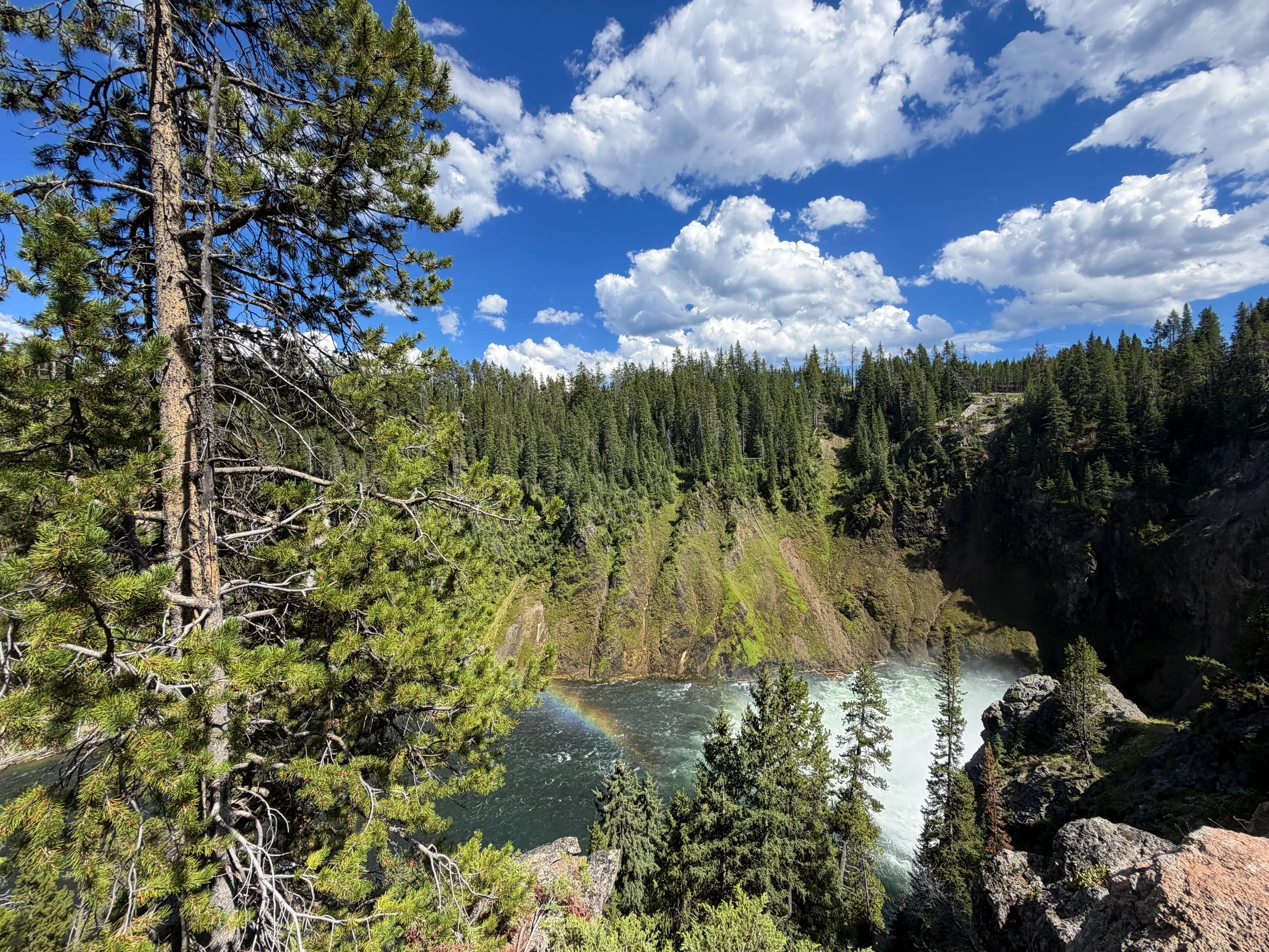Upper Overlook Brink of the Upper Falls Yellowstone National Park Wyoming