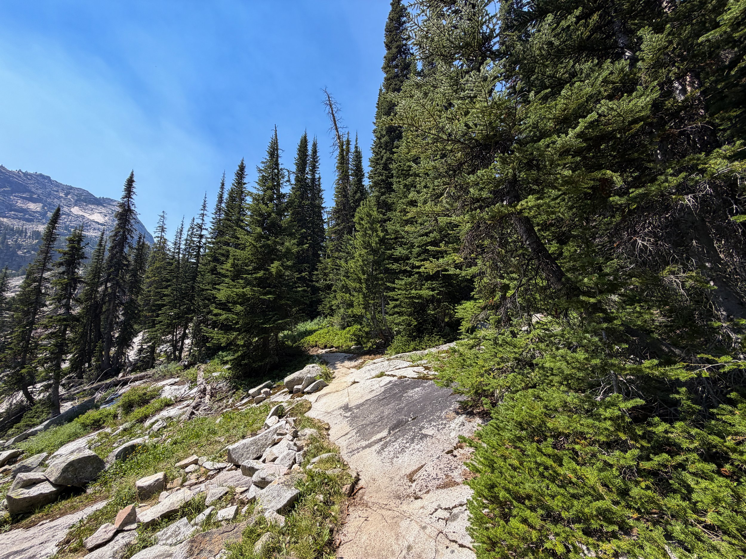 The Beaten Path Trail Beartooth Mountains Montana