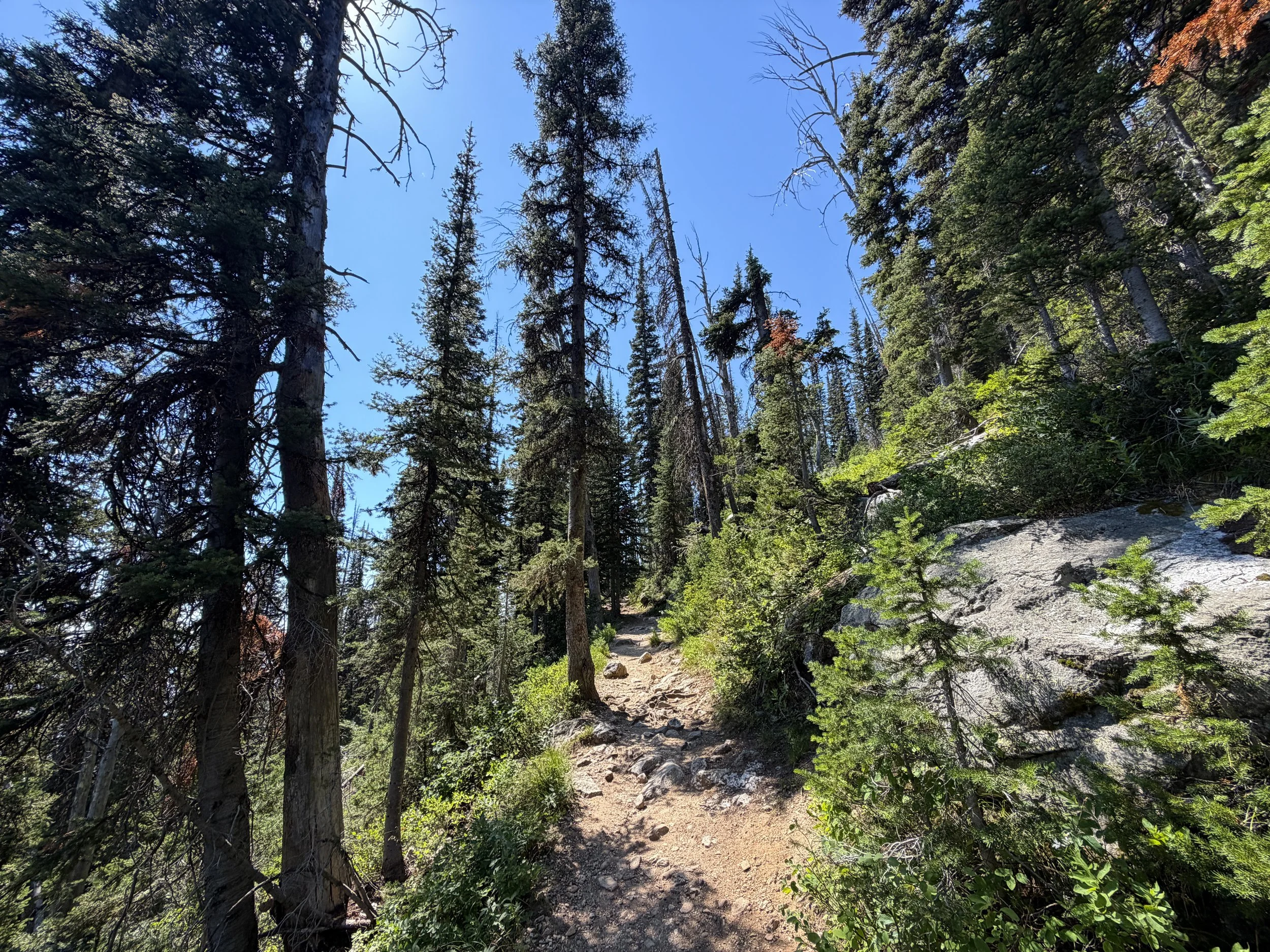 Surprise and Amphitheater Lakes Trail Grand Teton National Park Wyoming