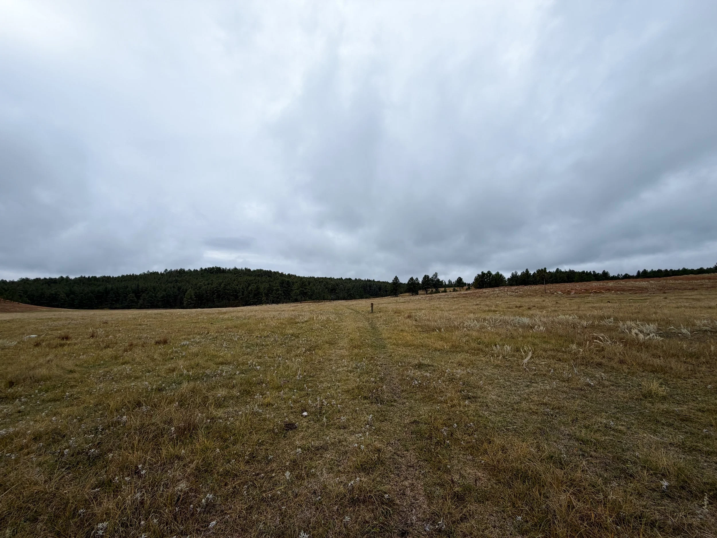 Highland Creek to Wind Cave Canyon Trail Wind Cave National Park South Dakota