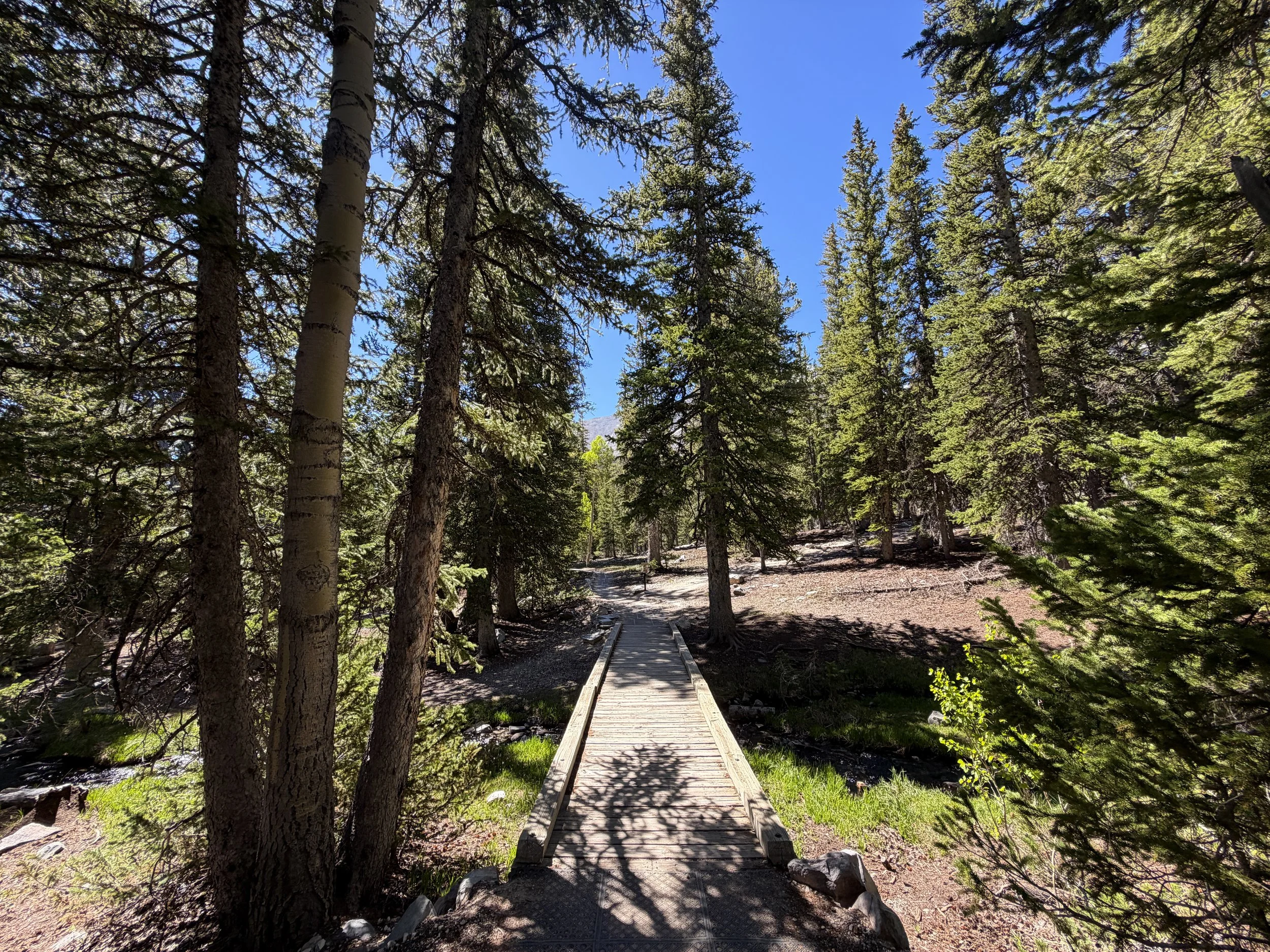 Alpine Lakes Loop Trail Great Basin National Park Nevada