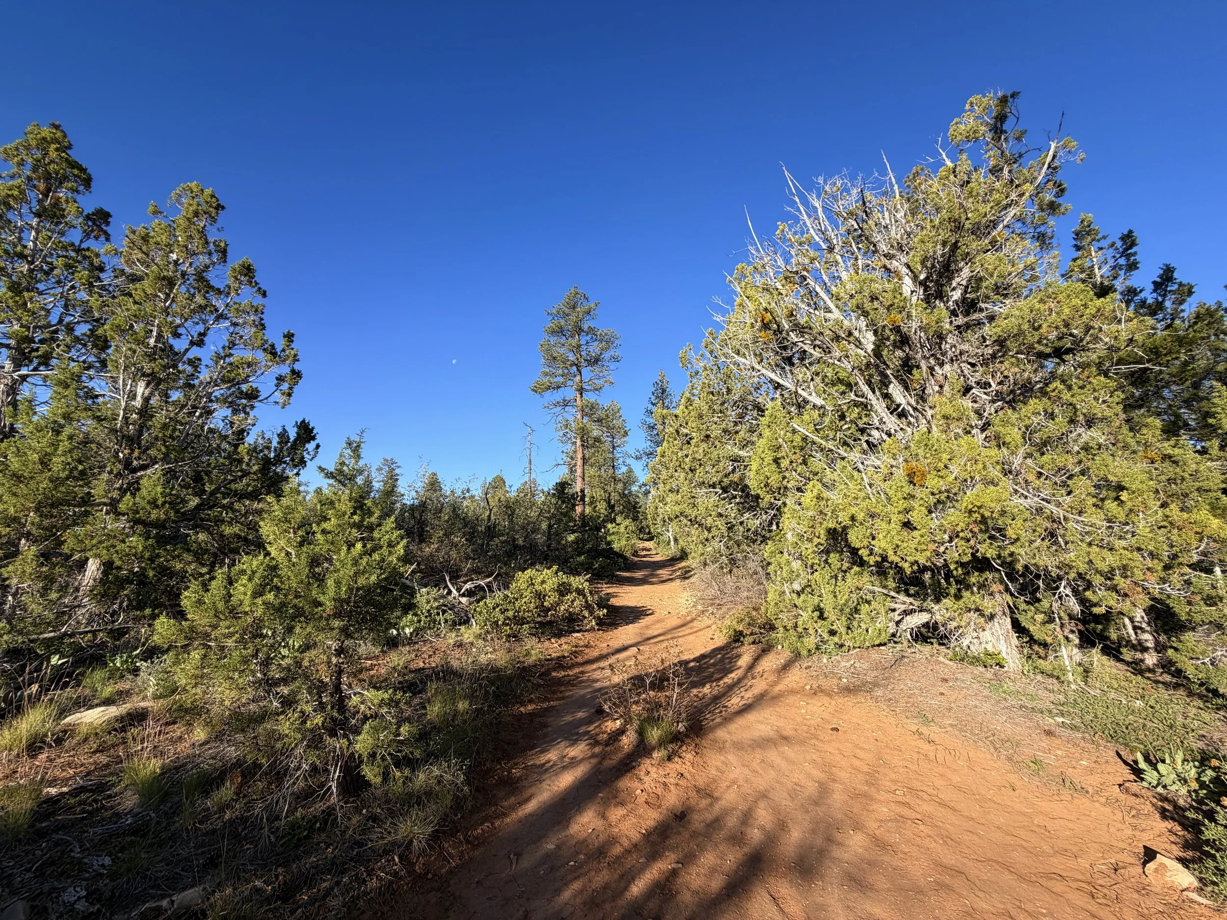 East Mesa Trail to Observation Point Zion National Park Utah
